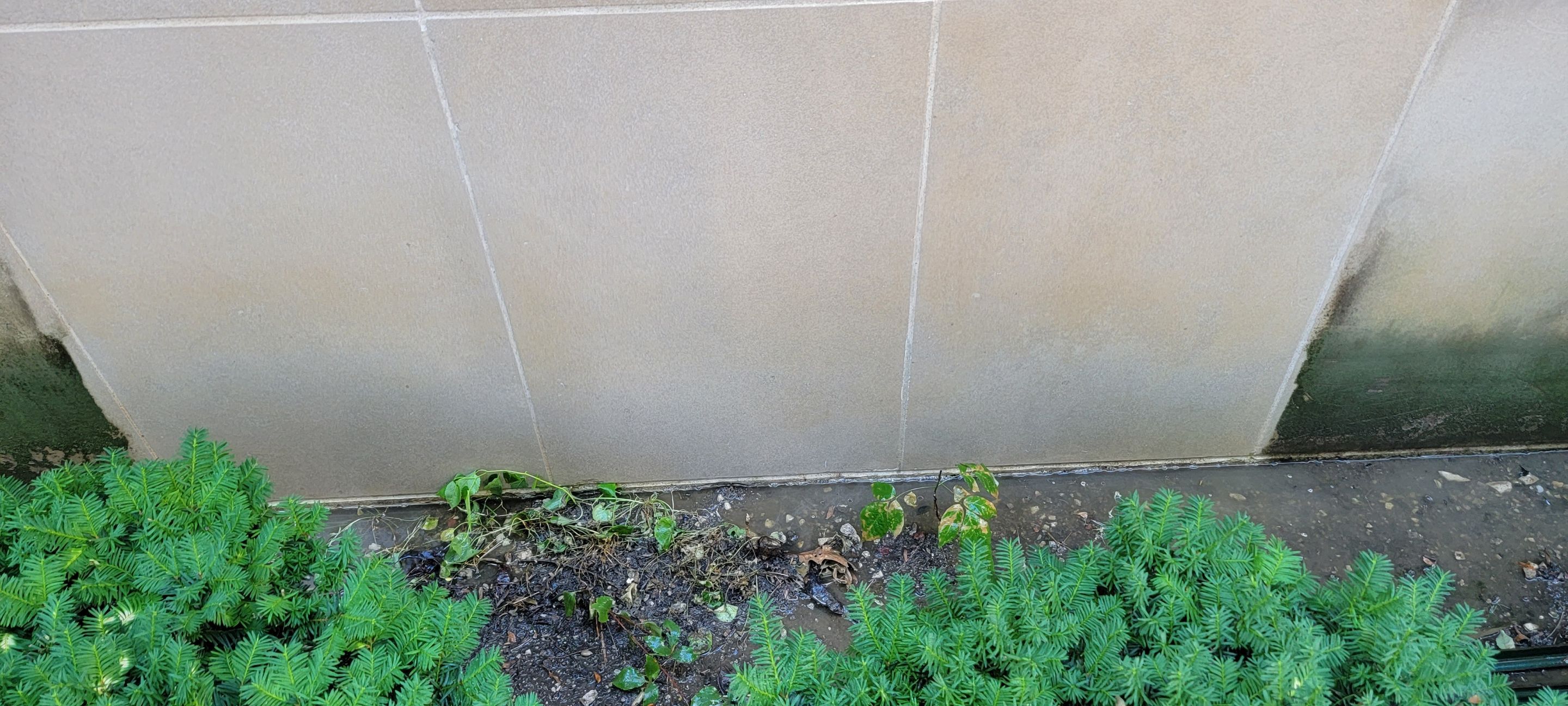 Courtyard pressure washing difficult access.  by Northern Power Washing LLC.