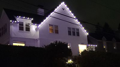 Holiday Lighting using C9 Opaque LEDs