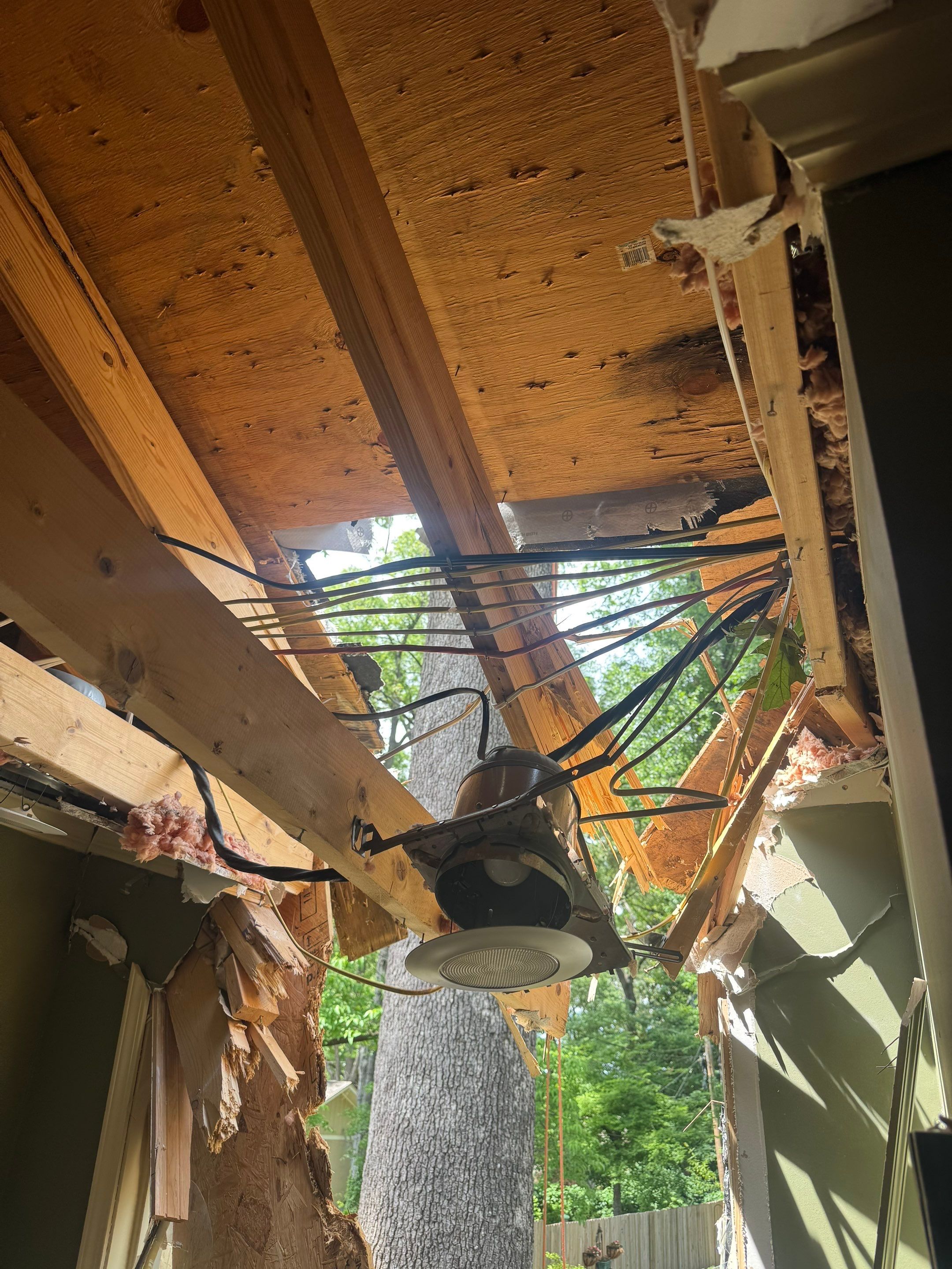 Tree Damage Restoration and Asphalt Shingle Roof Replacement in Memphis by Revival Roofing Services