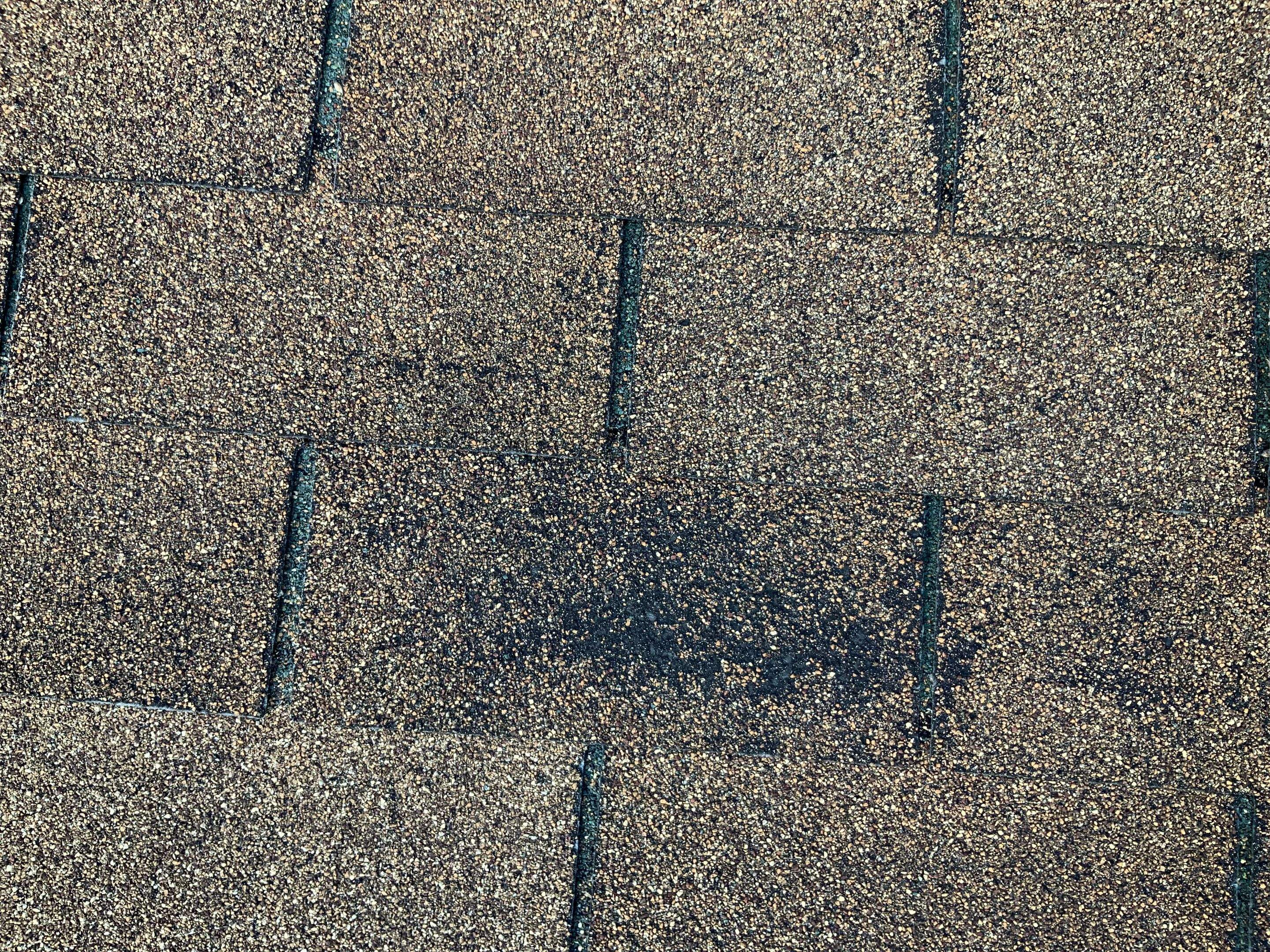 Residential Roofing Installation using XT-25 Shingles by Alpha Design Services
