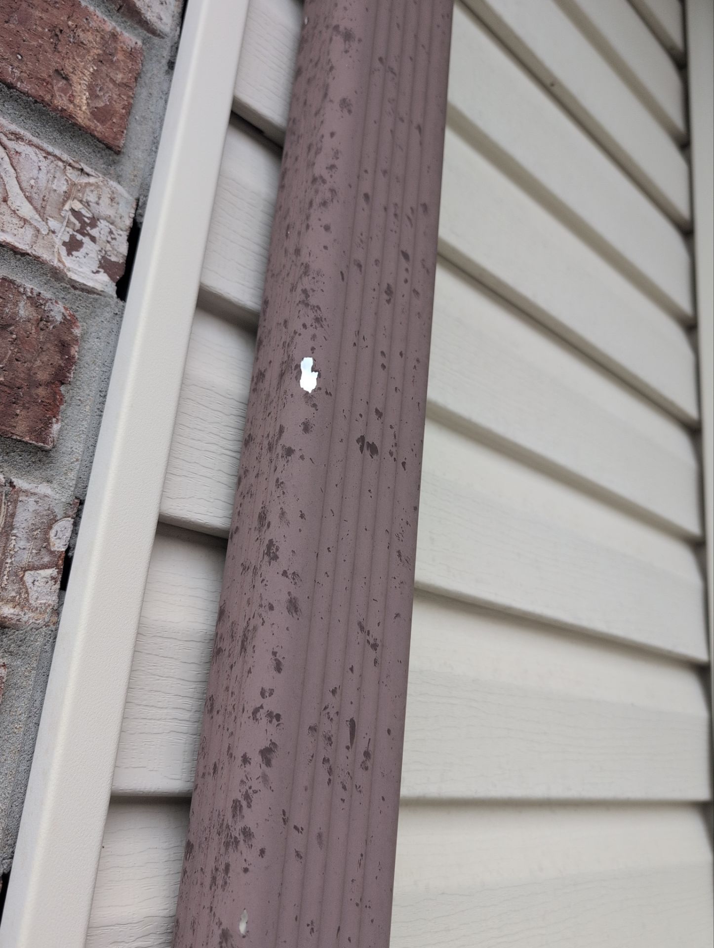 Roof Replacement & Seamless Gutters in Reeds Spring by Table Rock Design + Build