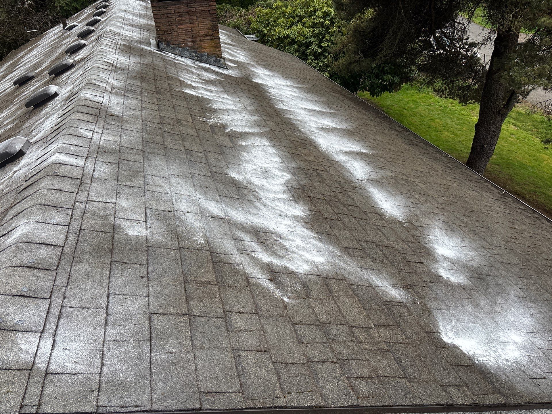 Roof Maintenance in West Linn by Prodigy Roof Solutions