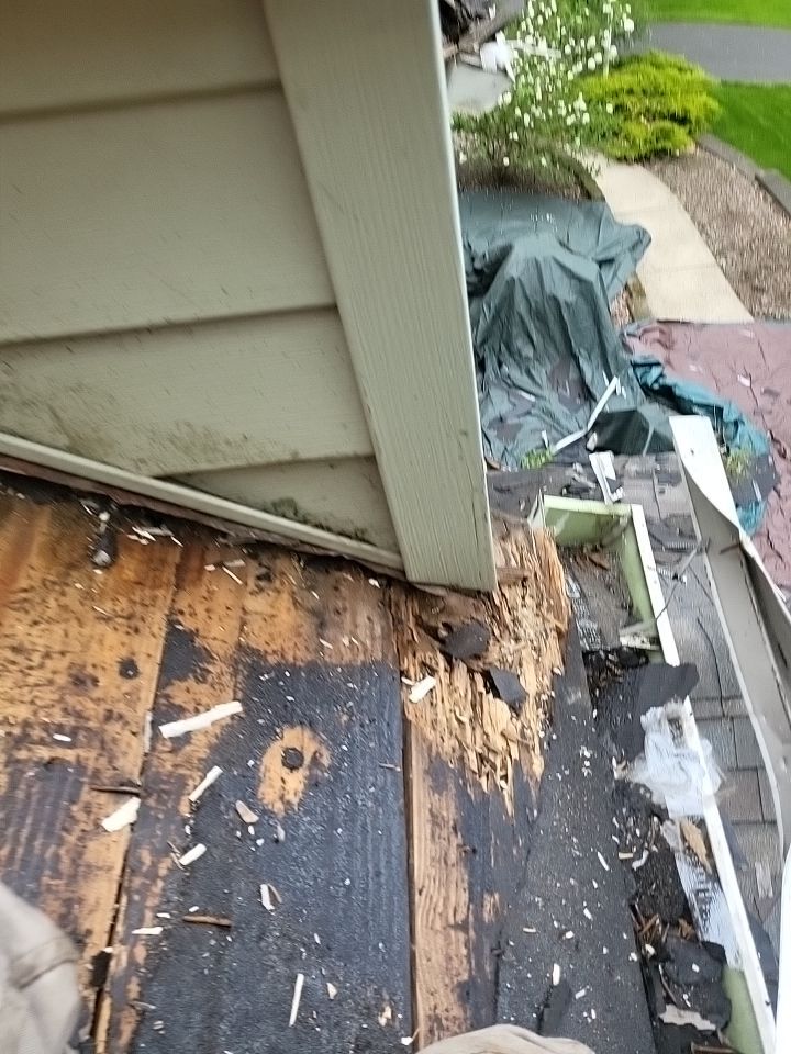 ATLAS PINNACLE COLOR: HEARTHSTONE DRIP EDGE: WHITE by Eagle Eye Roofing