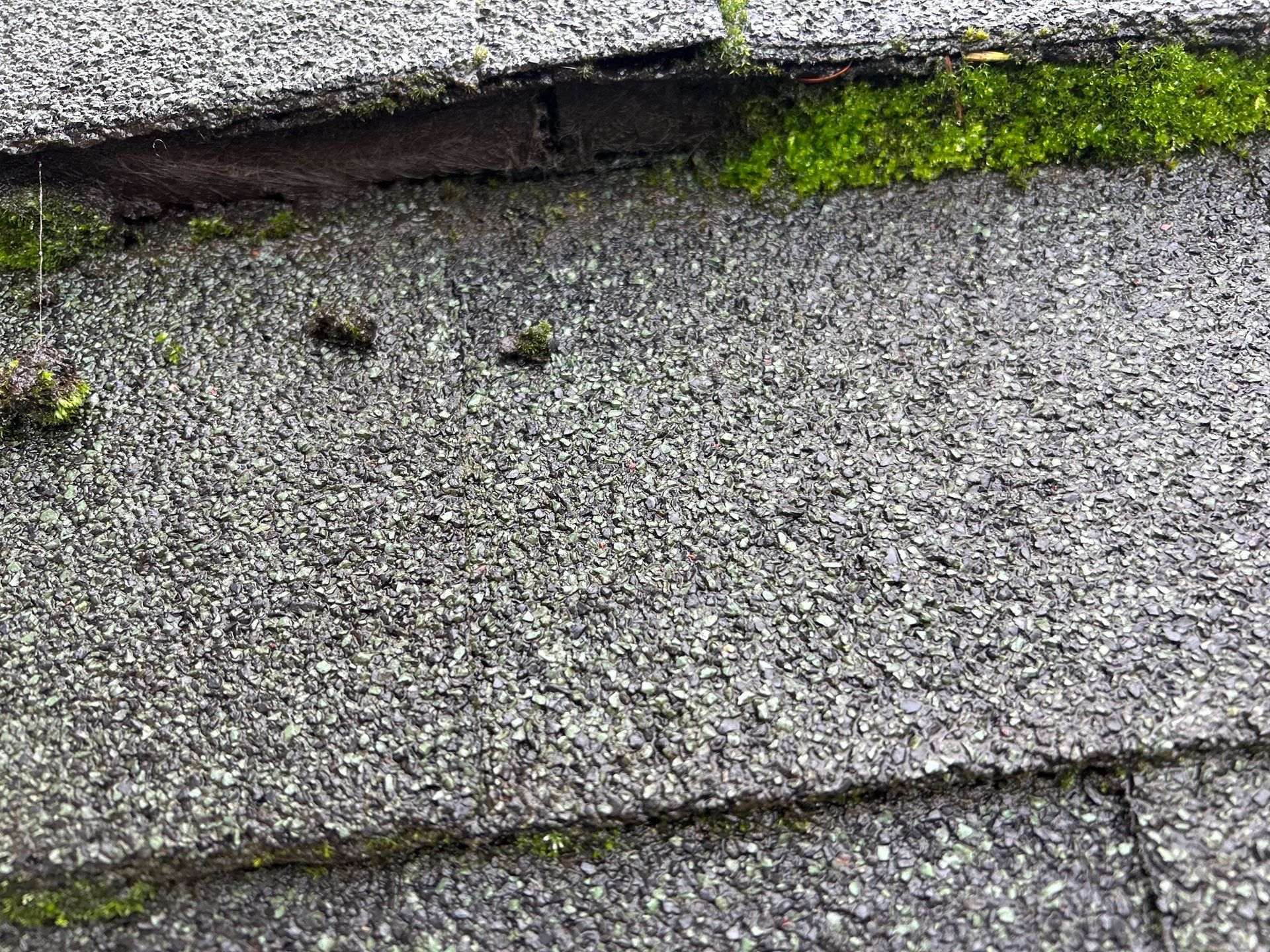 Project in Snohomish by Connolly Construction Company