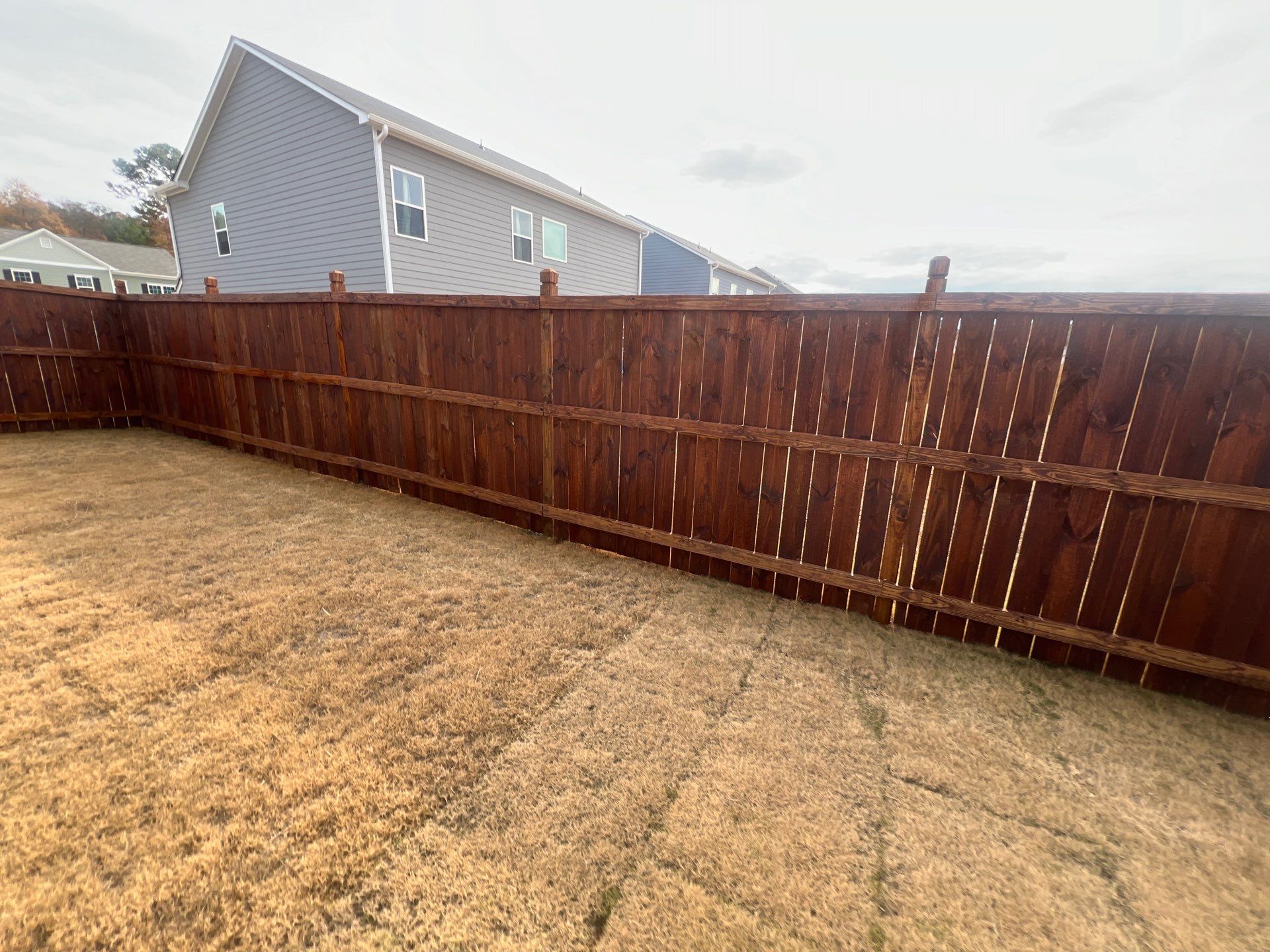 Fence Staining using Chestnut by SSE by Titans of Timber Fence & Stain