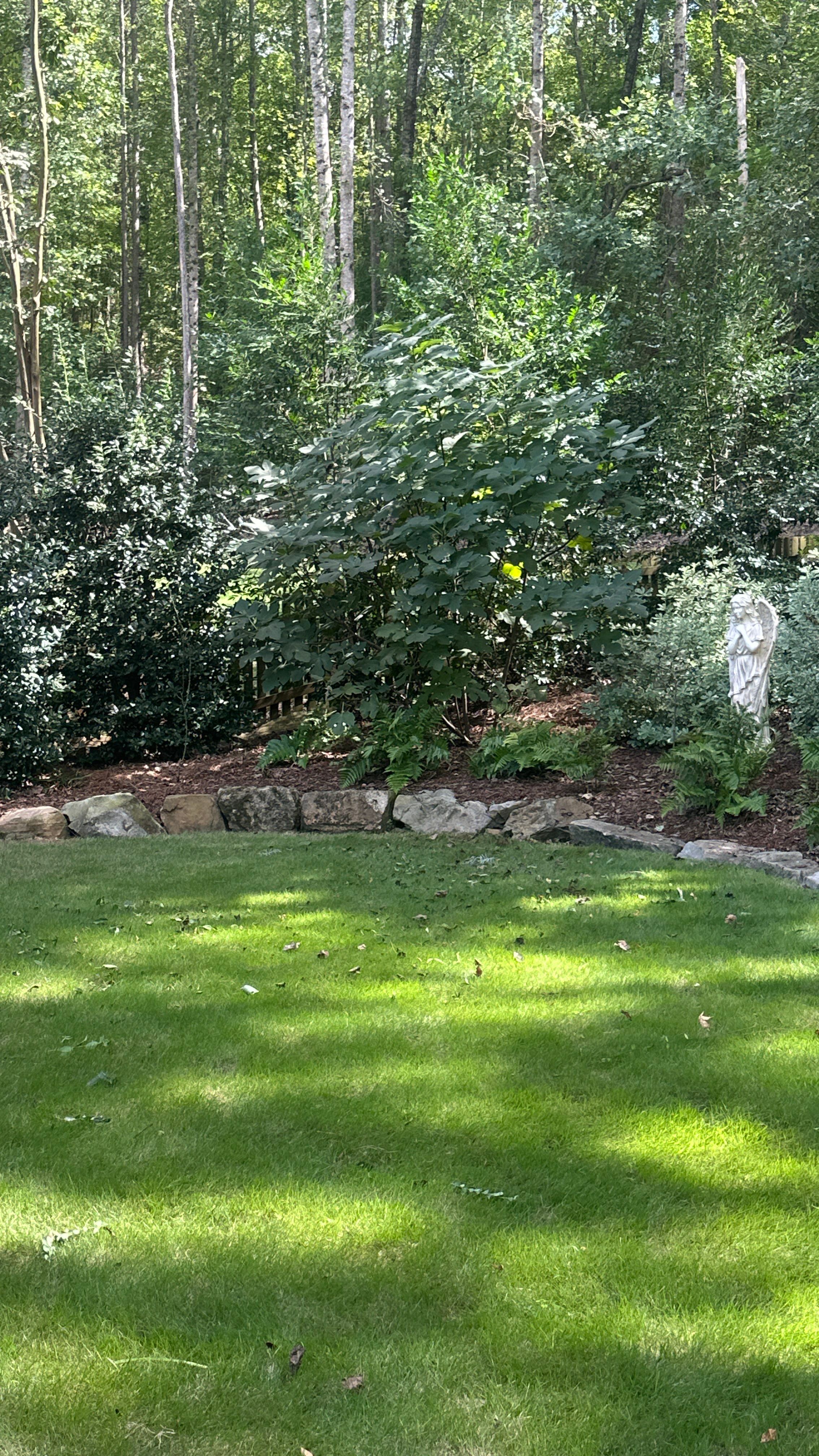 Custom Landscape Transformation and Hardscape Installation in Birmingham by NATURE ONE - LANDSCAPE DESIGN