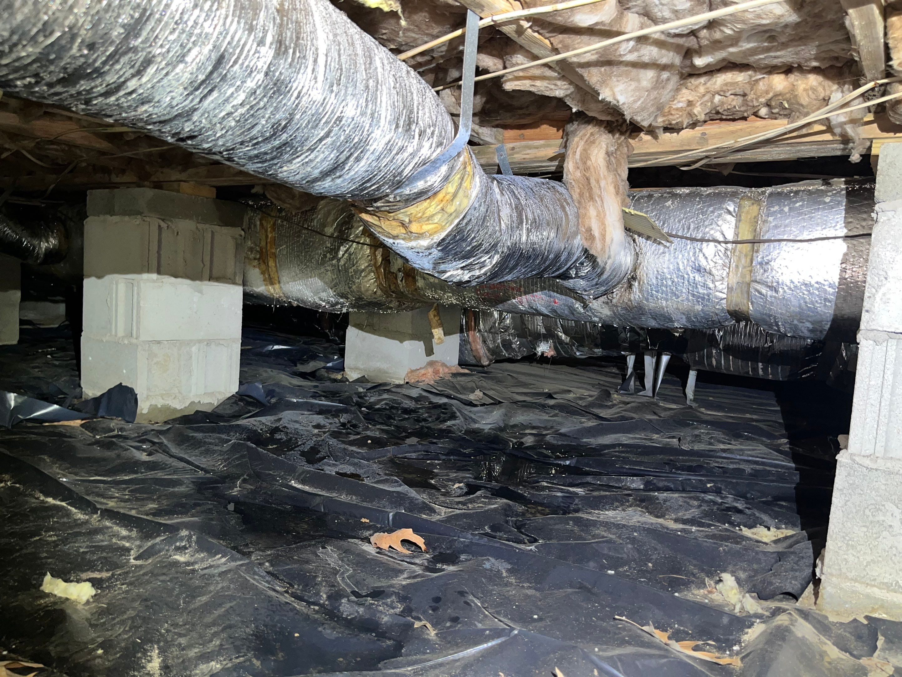Impact Choice Encapsulation using Tri-Plex Insulation by Impact Crawlspace