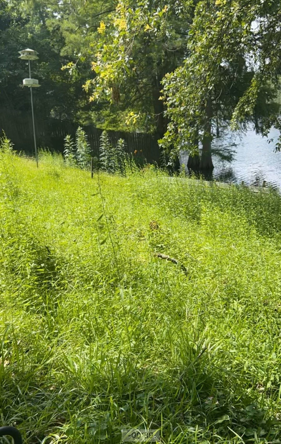 Lawn Mowing by College Bros Outdoor services