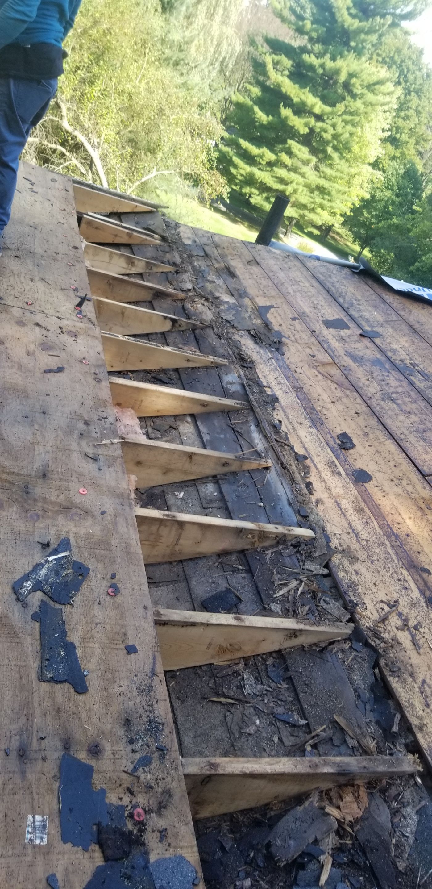 Atlas Pinnacle Pristine Scotchgard: Hickory Drip Edge: Musket brown by Eagle Eye Roofing