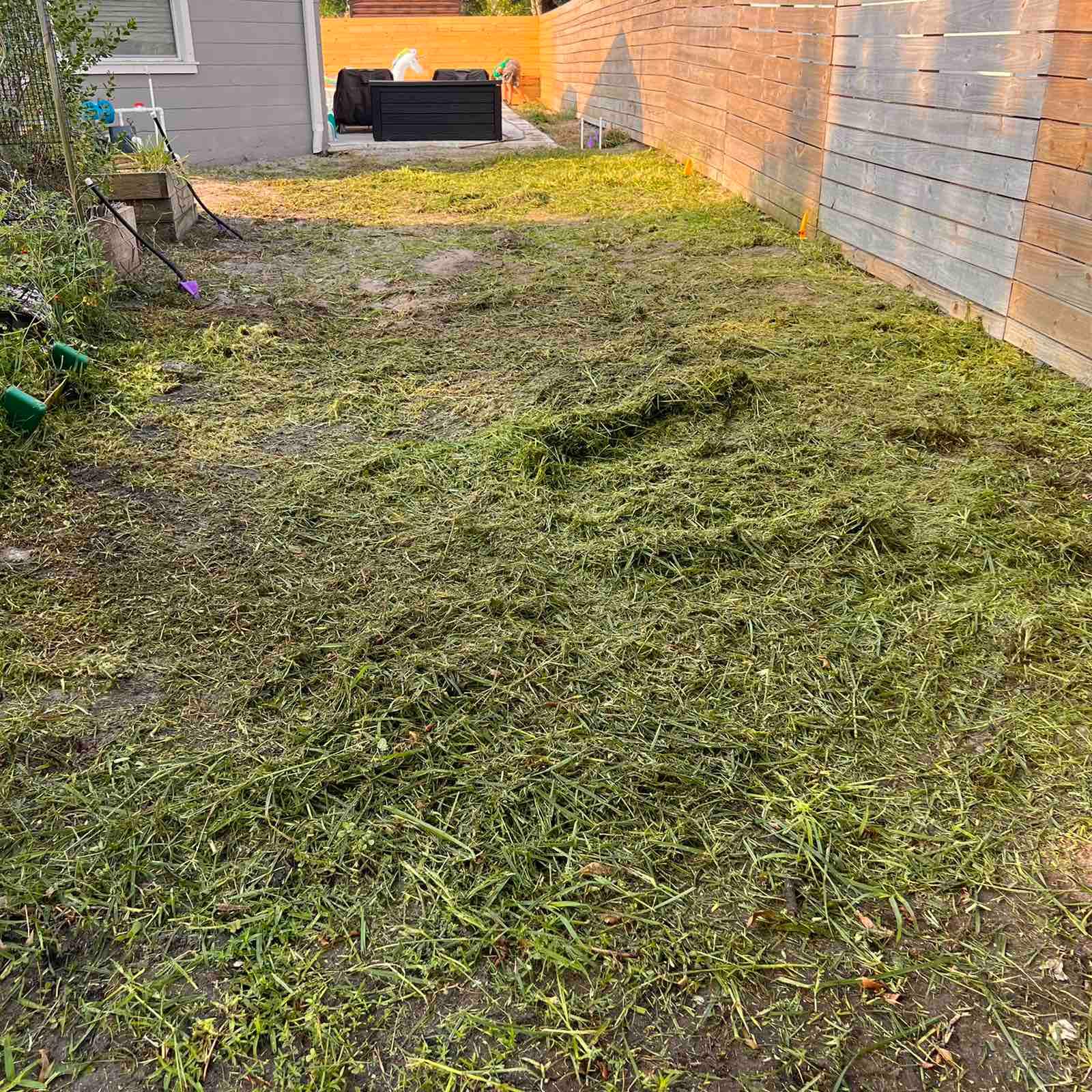 Landscape Project | Ponte Vedra Beach by ProGreen Services
