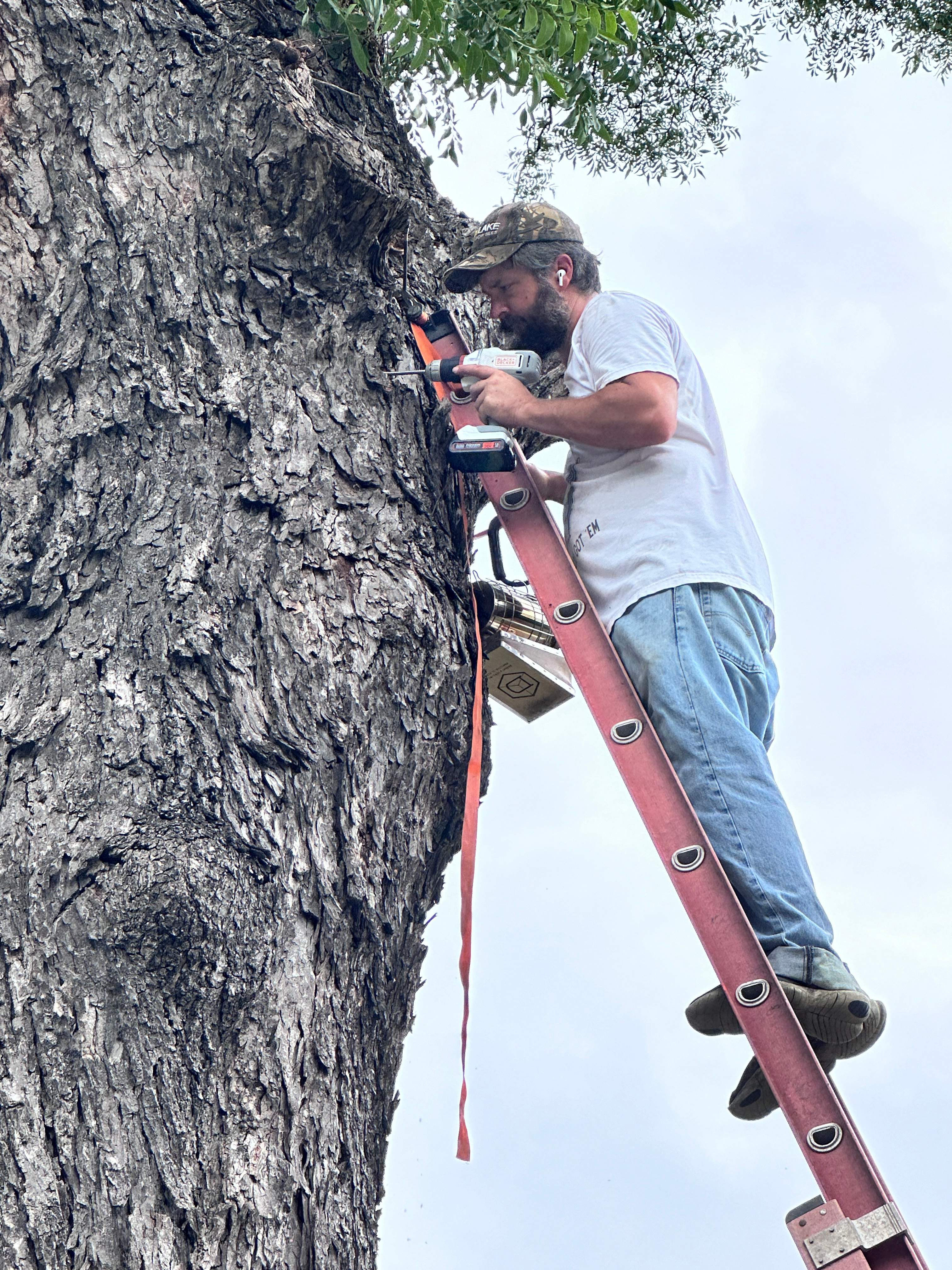 Smile! by Rockwall Honey Bee Company