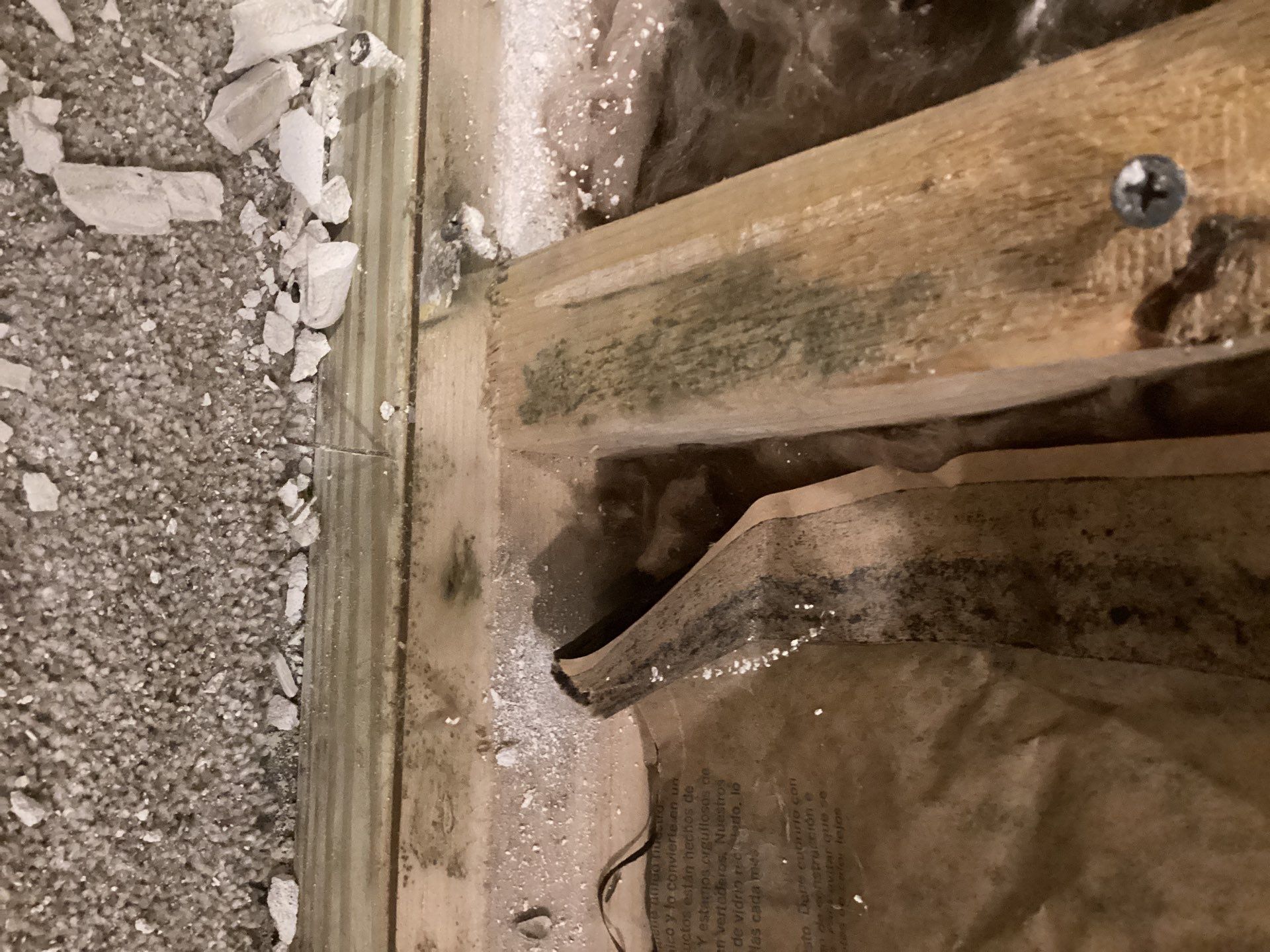 Mold Free Peace of Mind by Waterproofing Northeast
