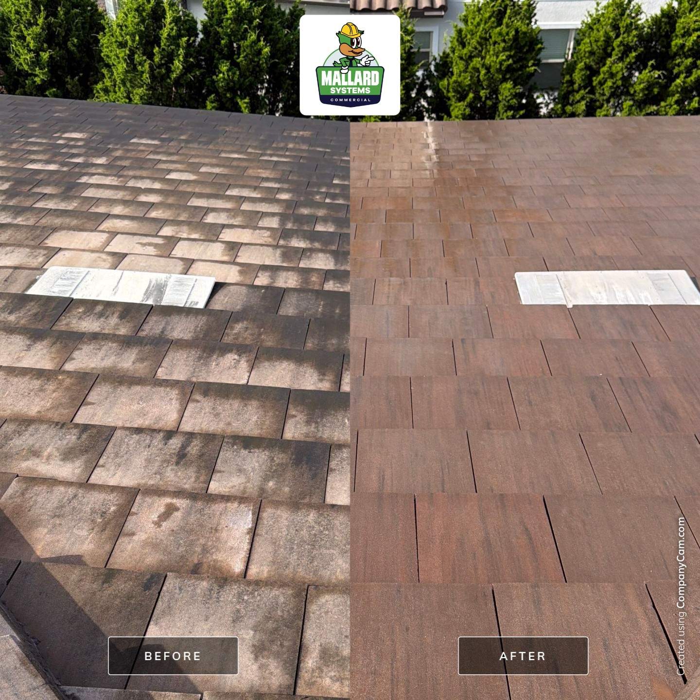 Tile Roof Cleaning in Orlando's Golden Oak Community by Mallard Systems