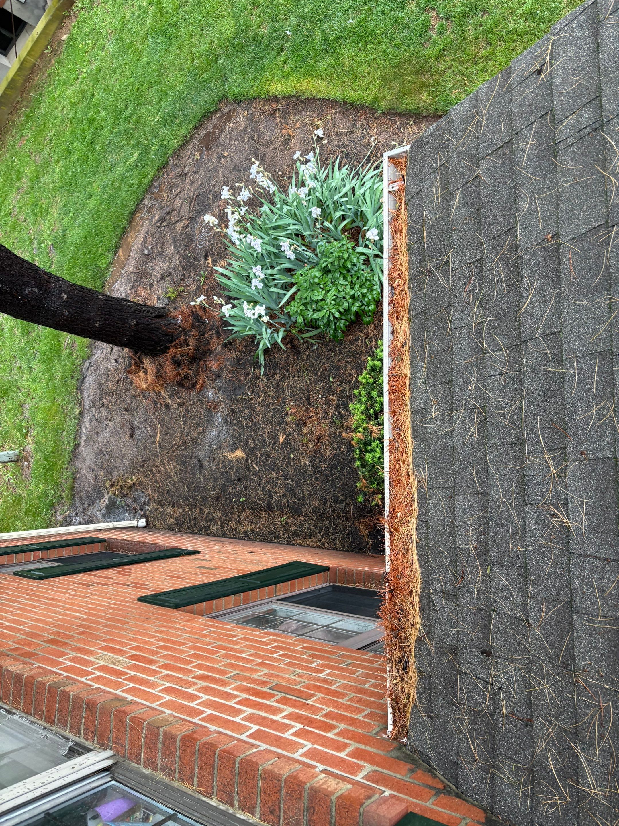 Commercial gutter cleaning Newark before photo with filled gutters