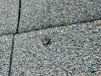 Tyee Roofing Replacement