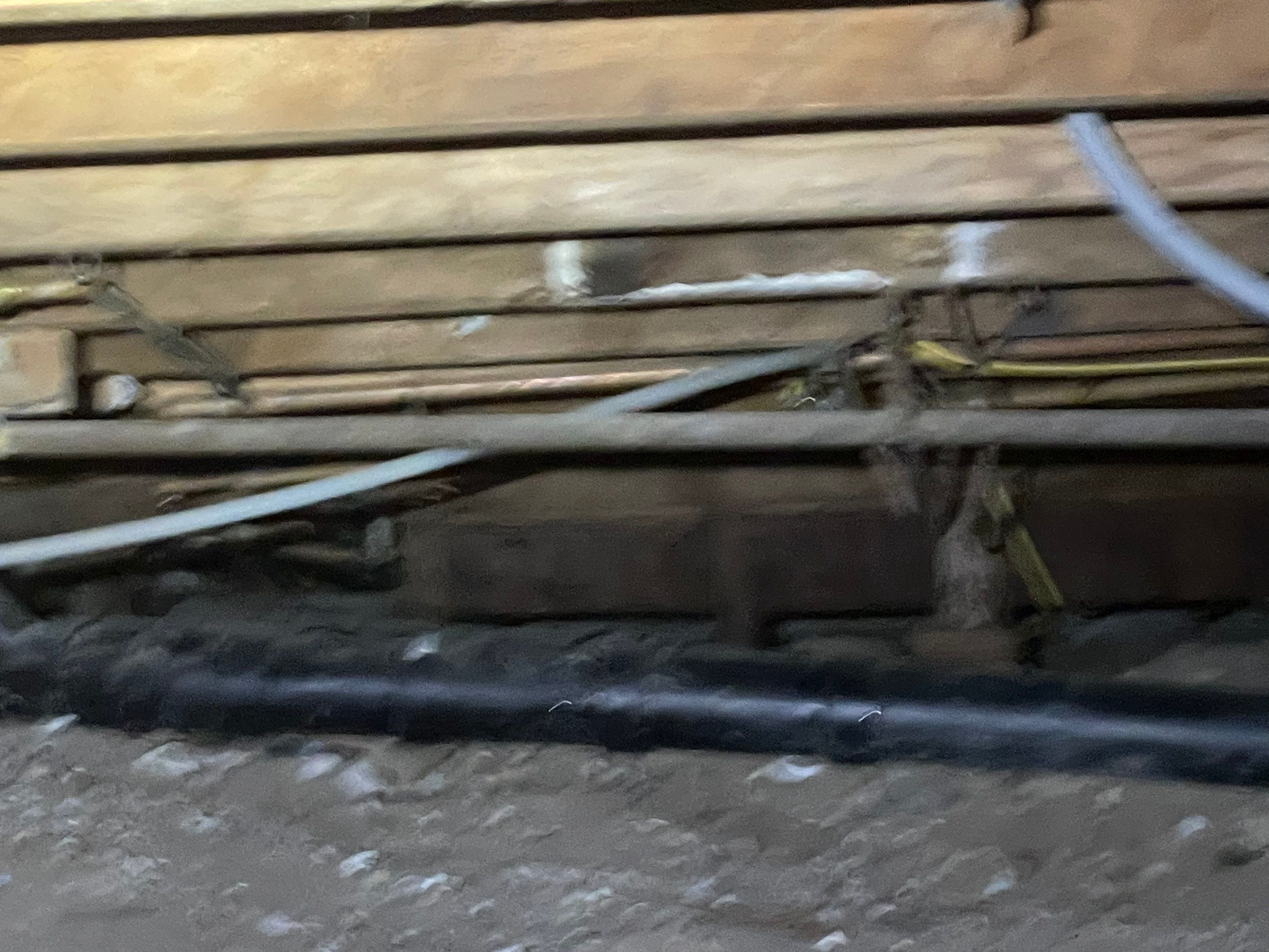Wood Destroying Organisms Report by GLOBAL Termite Solutions
