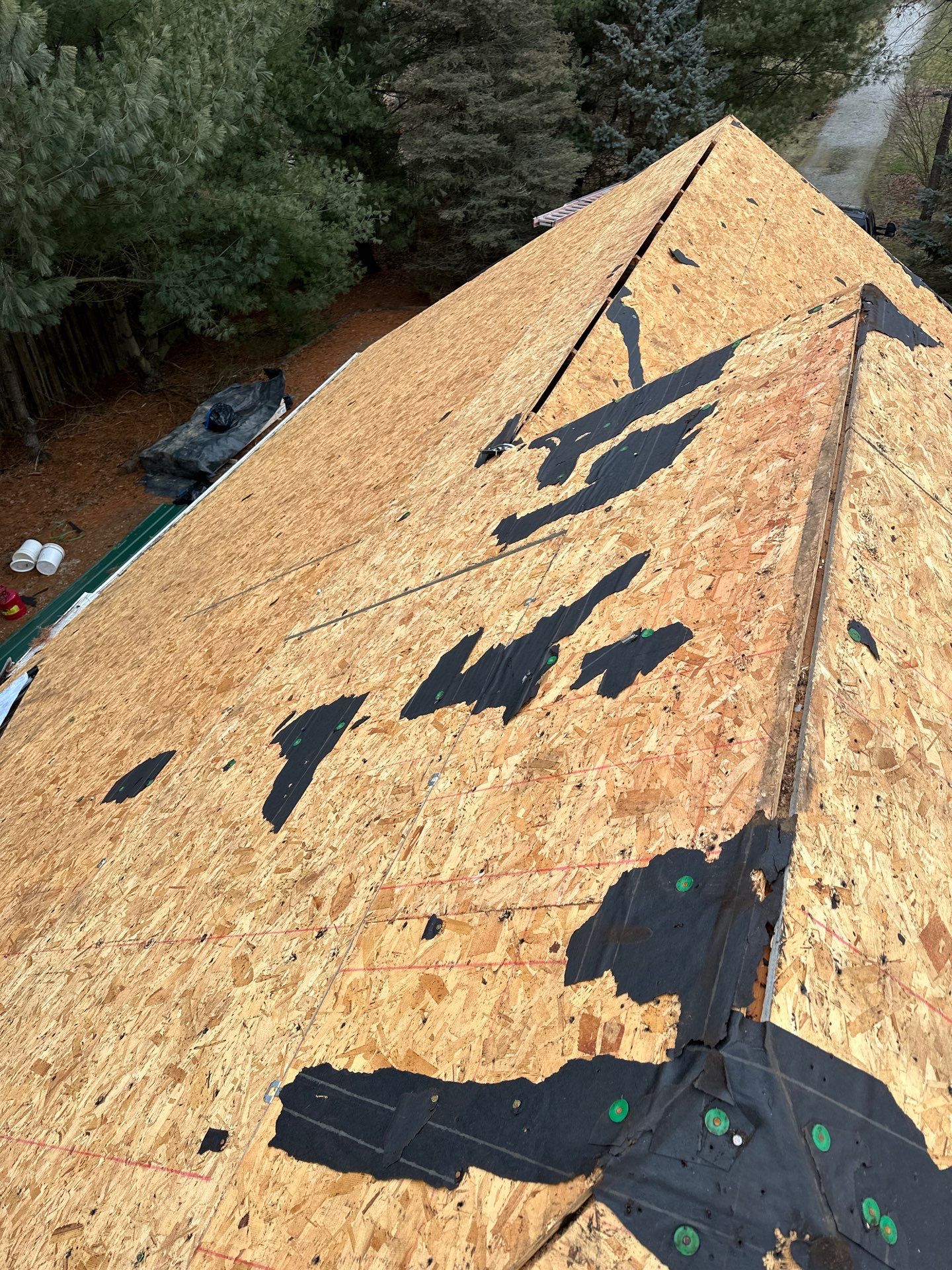 Alpha Rib, Color: Forest Green by Eagle Eye Roofing