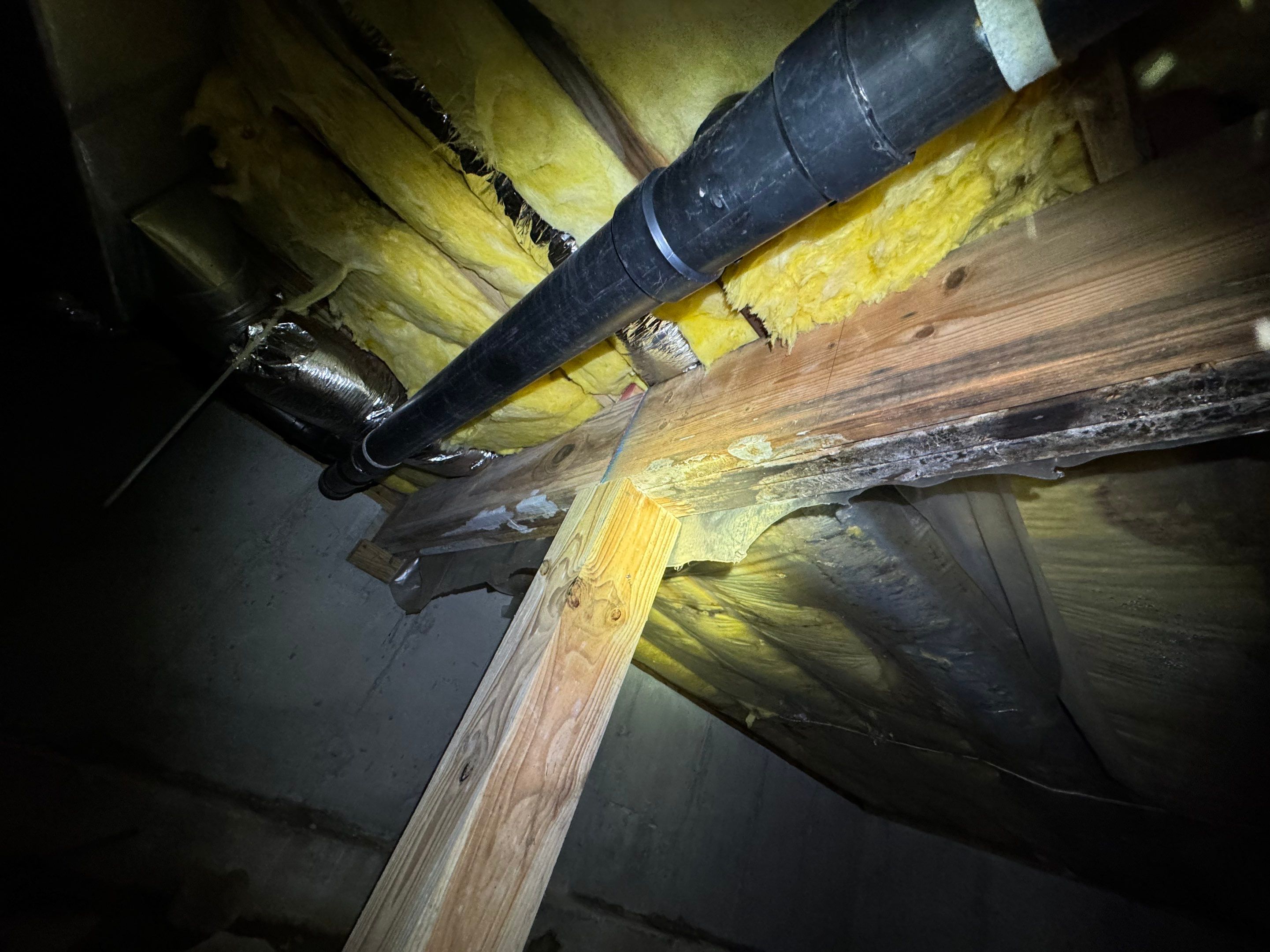 Mold Remediation (Basement) using Home Guarantee by Home Guarantee, LLC