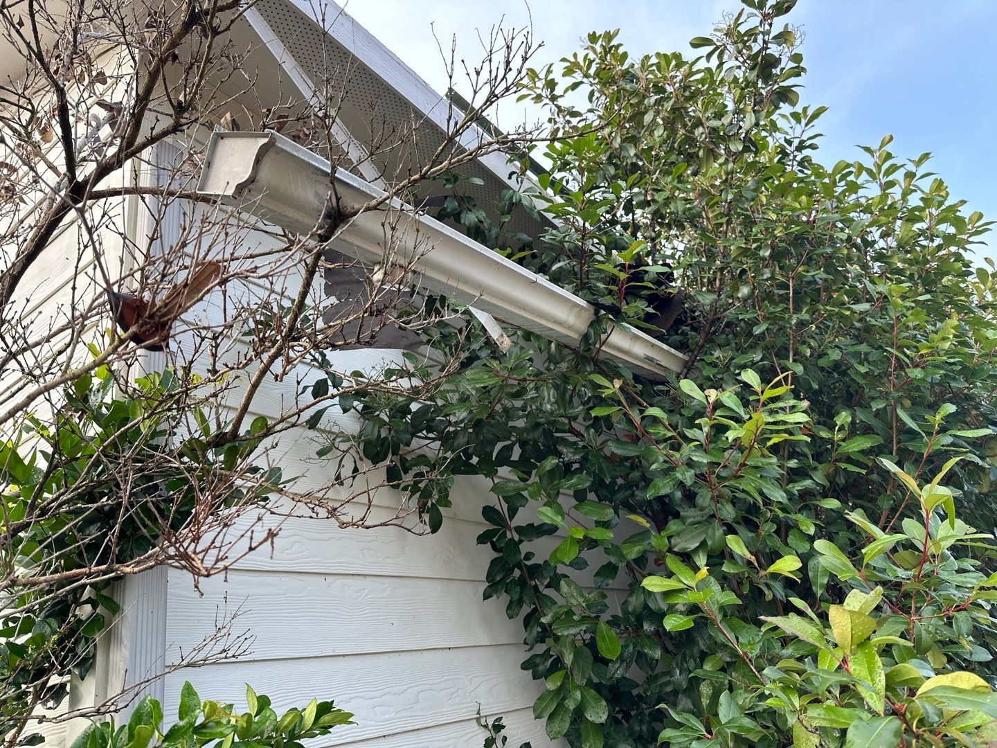 Residential Roofing Installation using Owen's Corning Duration (Lifetime) Shingles by Roof Repair Services LLC