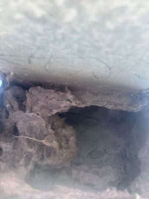 Dryer Vent Cleaning & Attic Joint Sealing — Clermont
