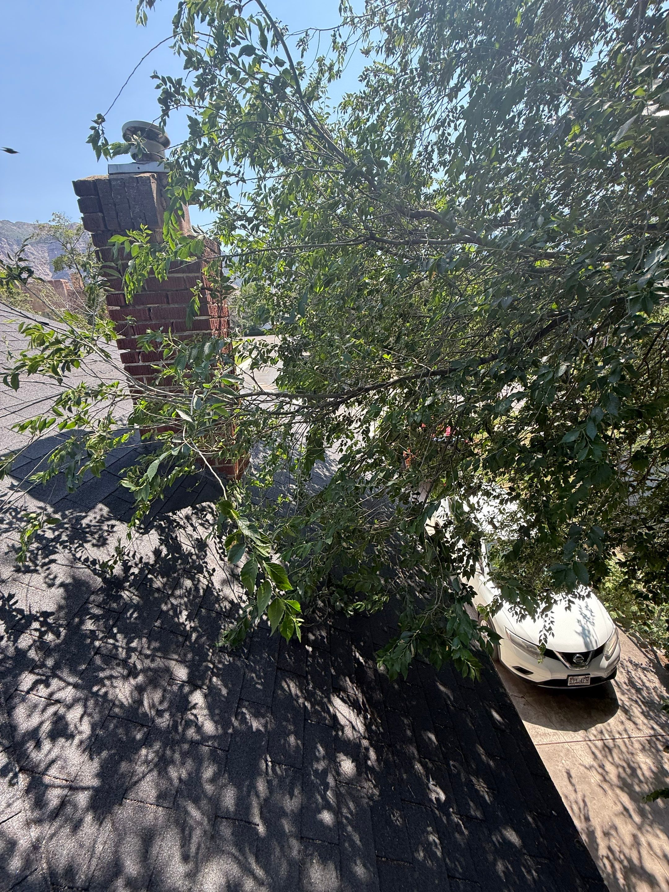 Roofing in Ogden, UT by Go Pro Roofing