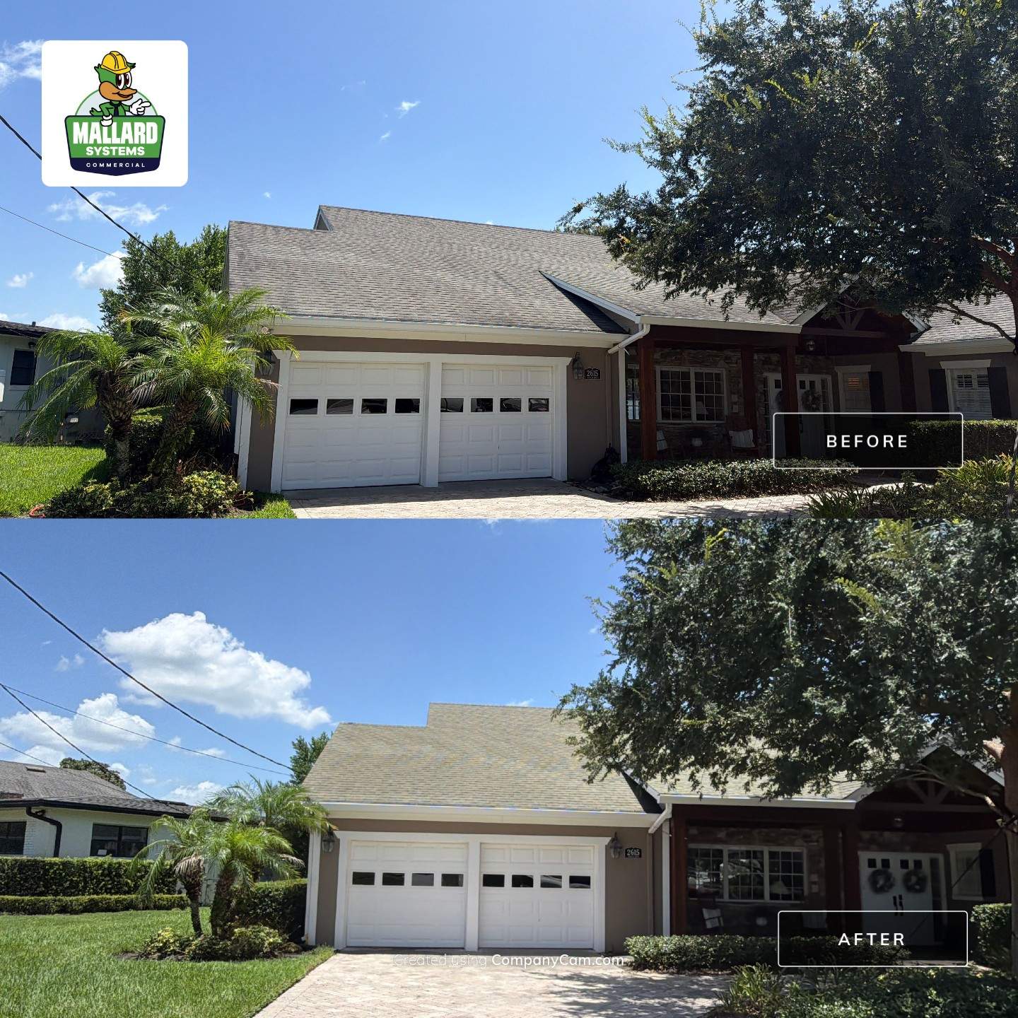 Residential Shingle Roof Cleaning in Orlando by Mallard Systems