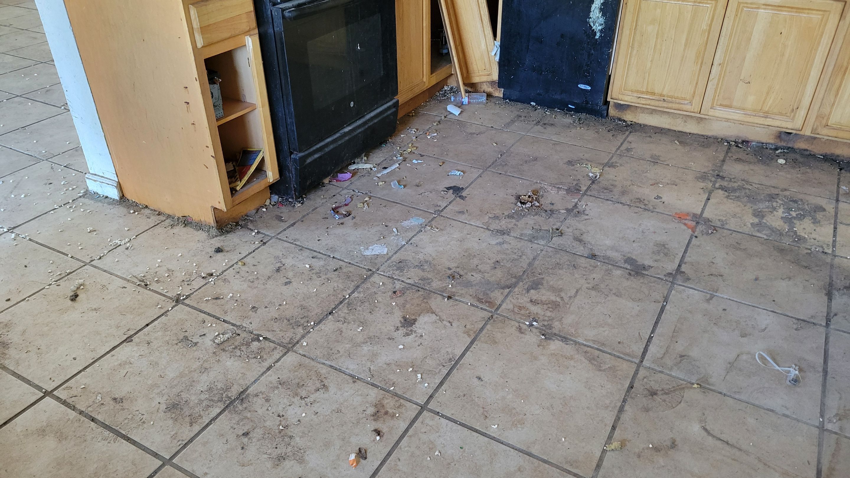 Extreme, Tile Cleaning by Ardent Carpet Restore LLC