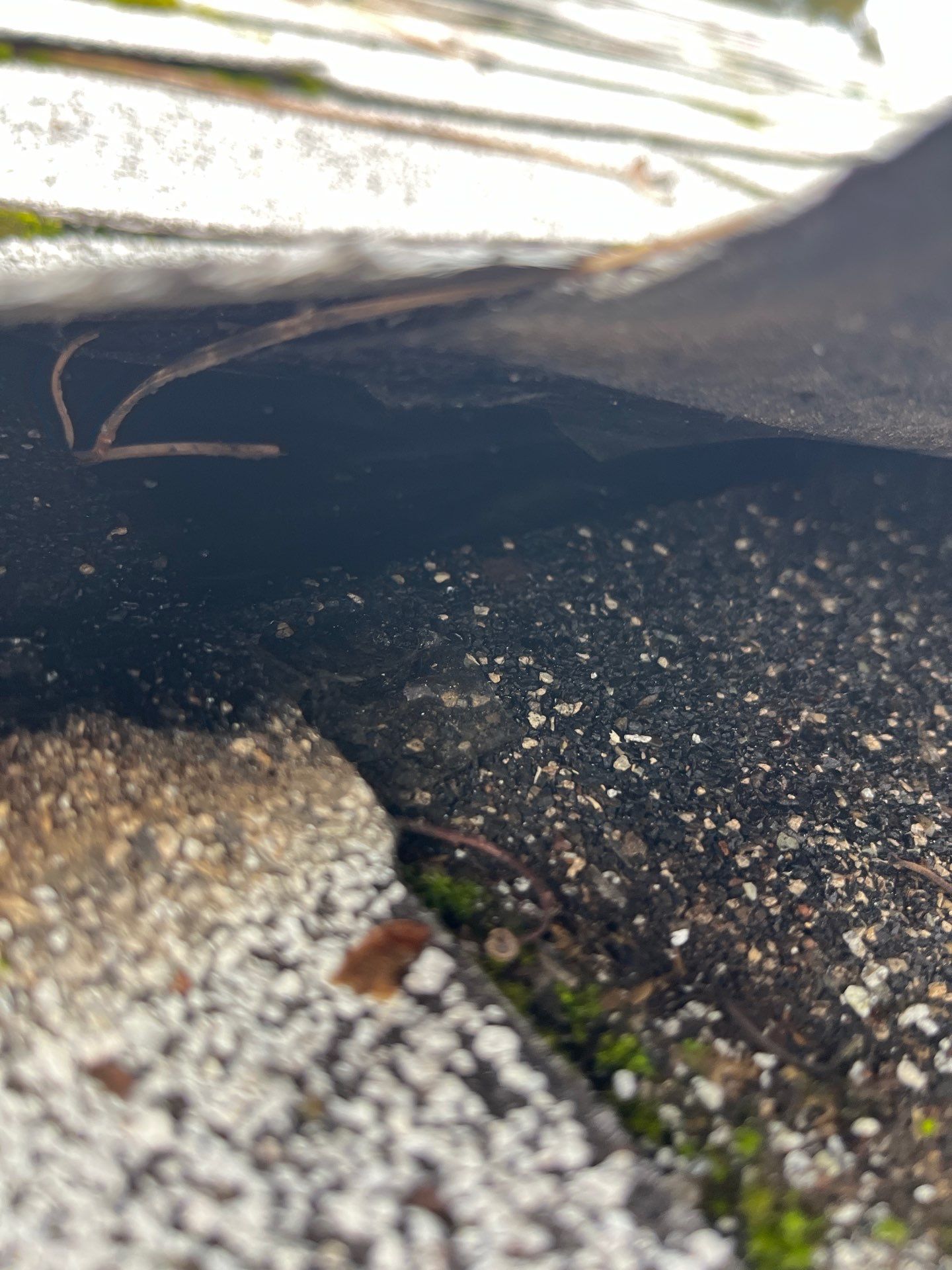 Project in Spokane by Connolly Construction Company