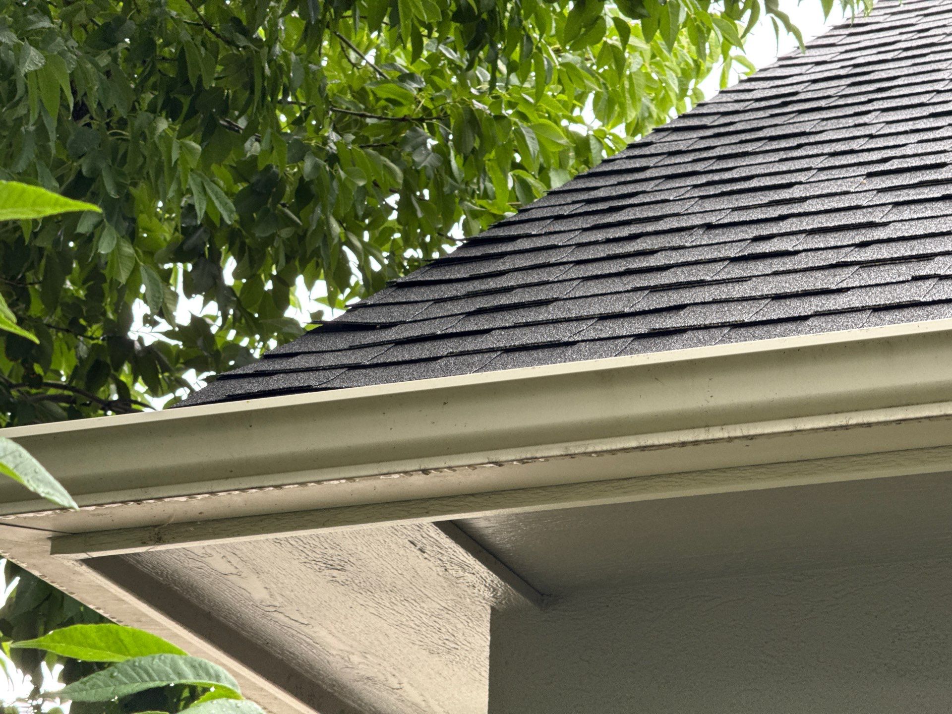 Residential Asphalt Shingle Roof Replacement in Meridian, Idaho by Olive Roofing
