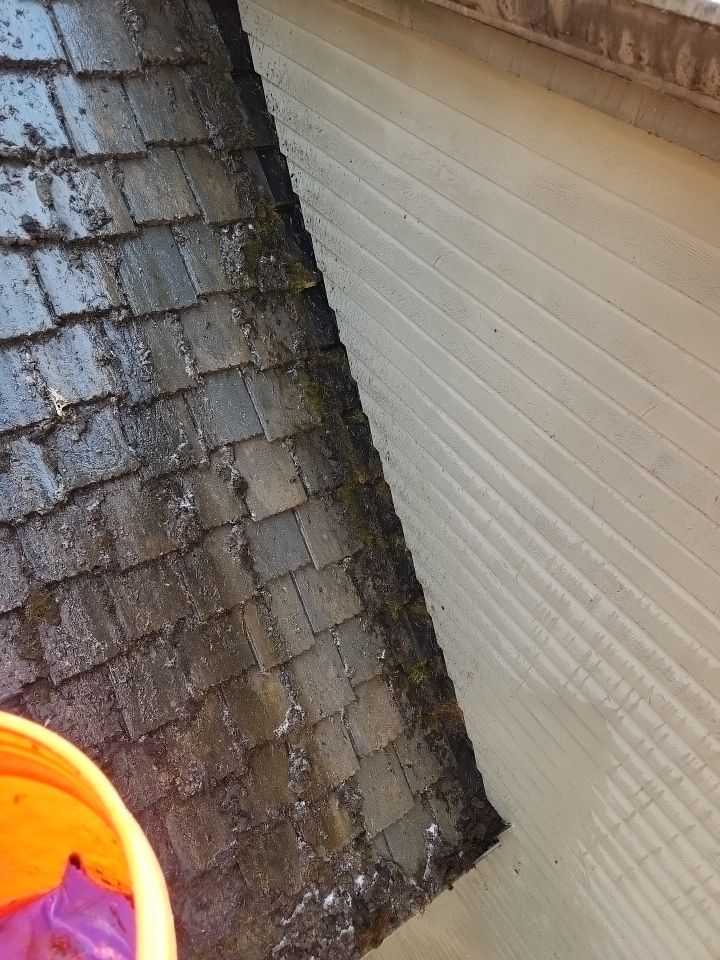 Moss Removal/ Treatment using Biocide by Willamette Outdoor Wash LLC