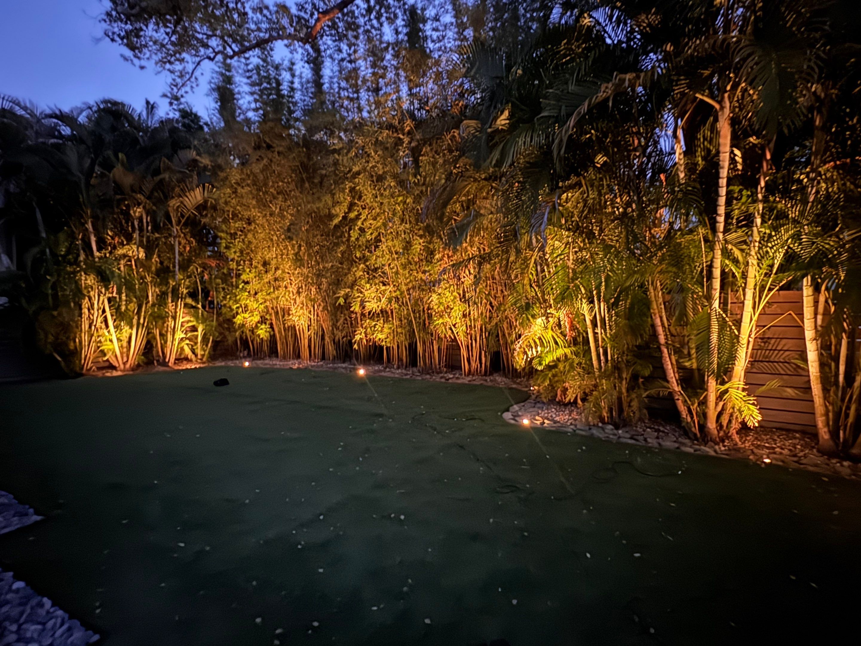 Custom Outdoor Lighting and Artificial Grass Installation in Tampa by Elegant Accents