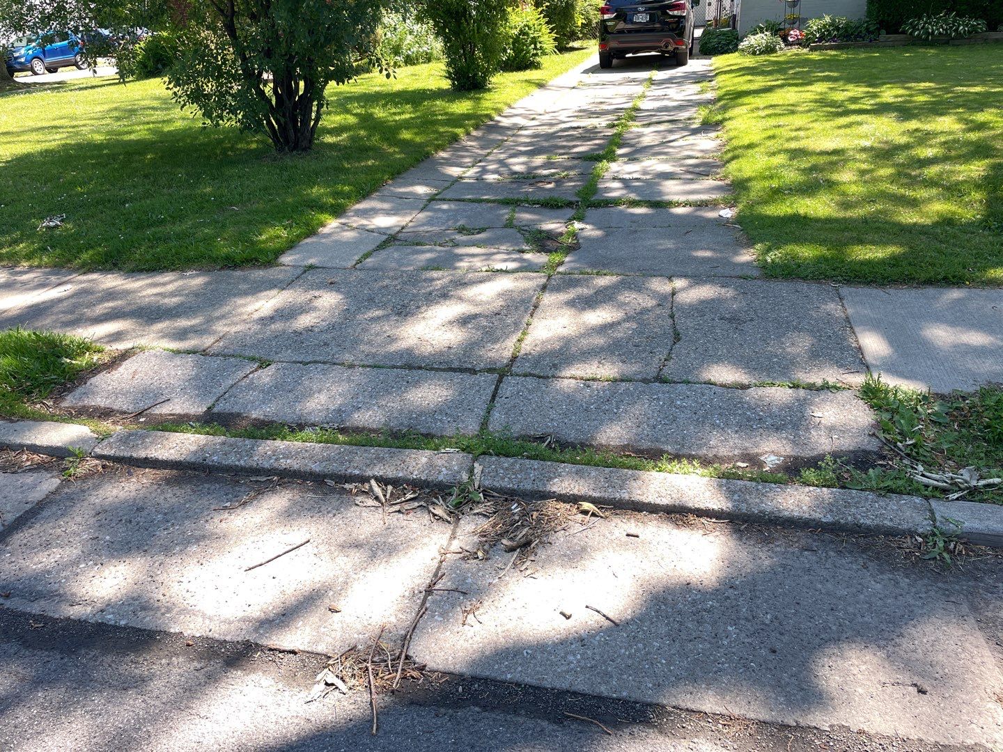 Concrete by Ivy Lea Construction