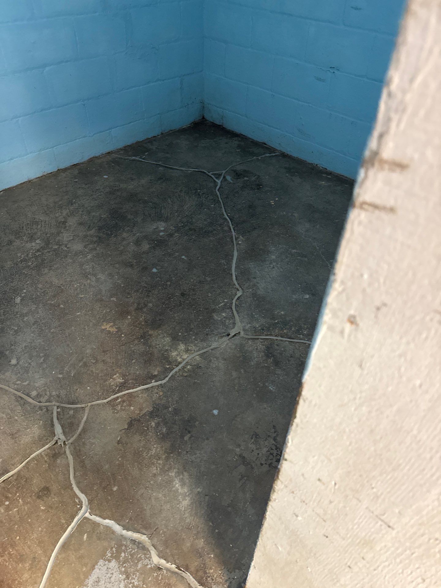 Shoreline Basement Project in Pittsburgh by Floors in a Day, Inc