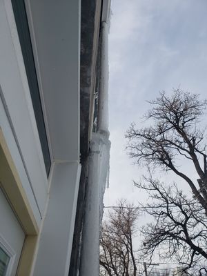 Results of an Ice Dam