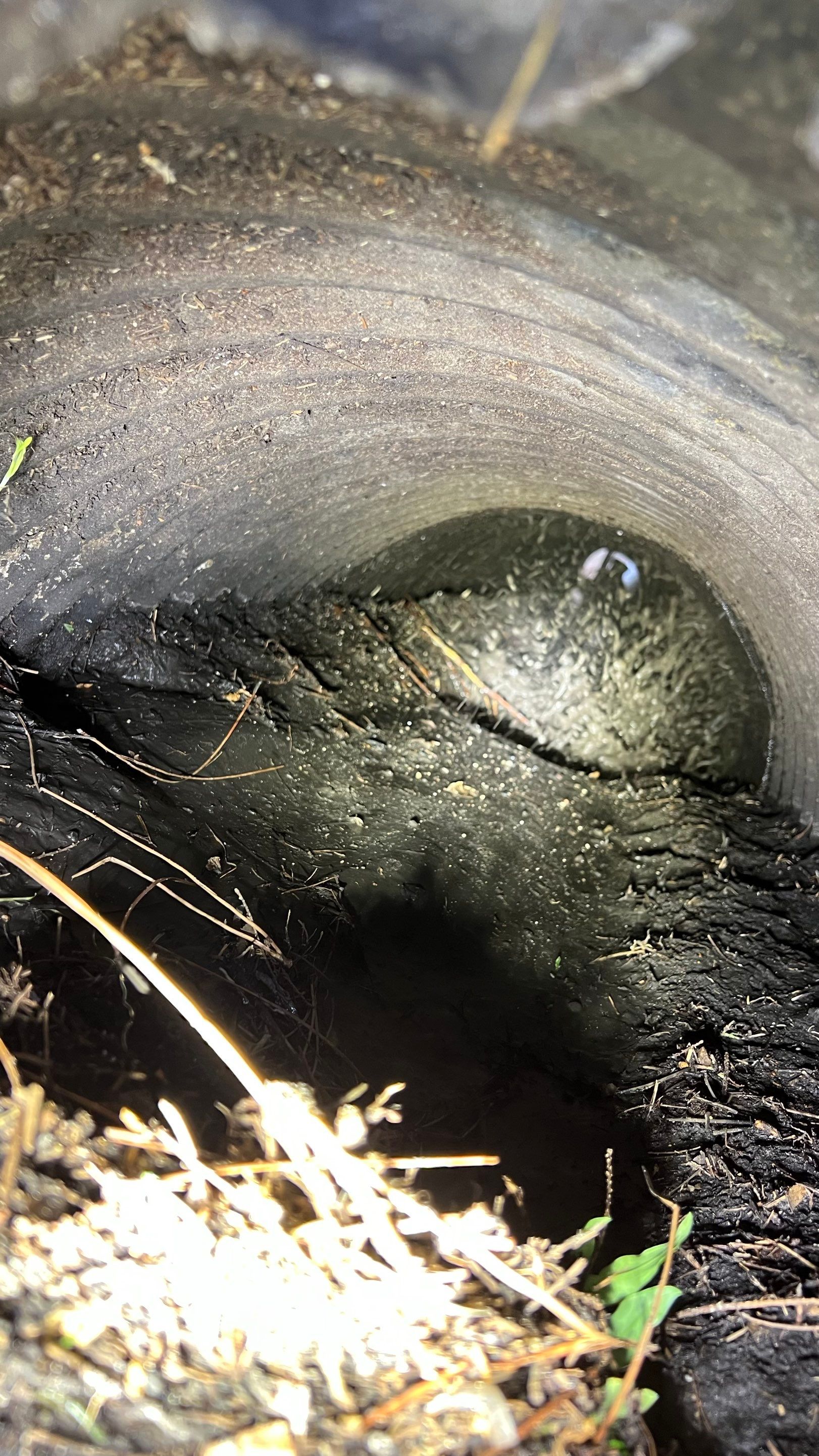 Apartment Complex Storm Water System Cleaning and Maintenance by Don Mar, Inc. Storm Water Solutions