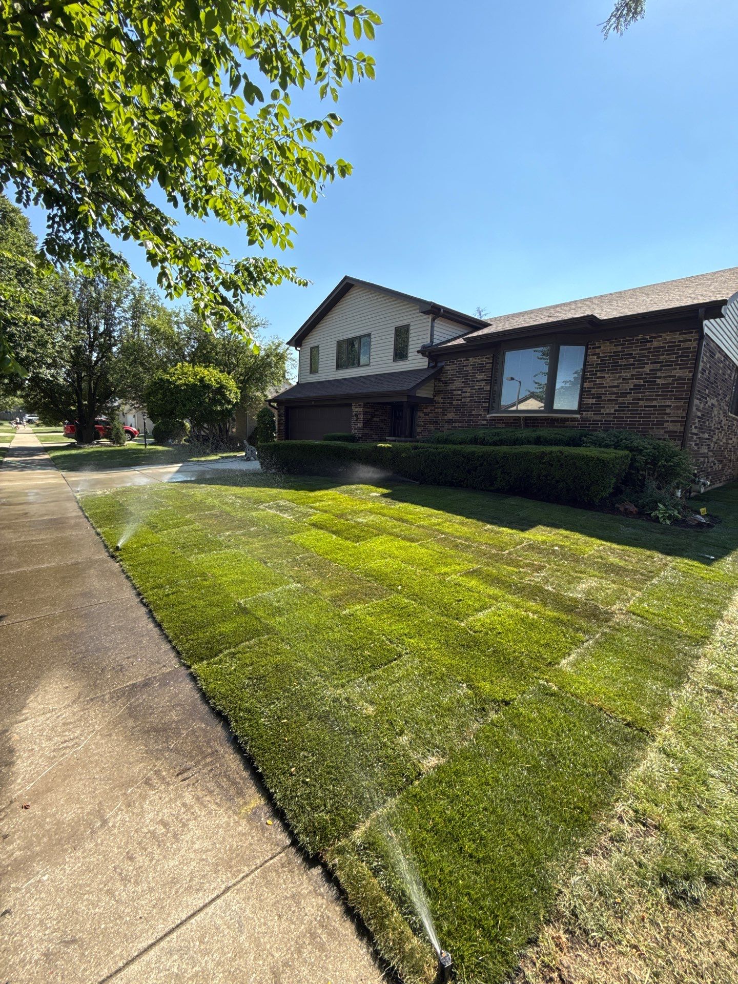 Al P. - Des Plaines, IL by A&N 
