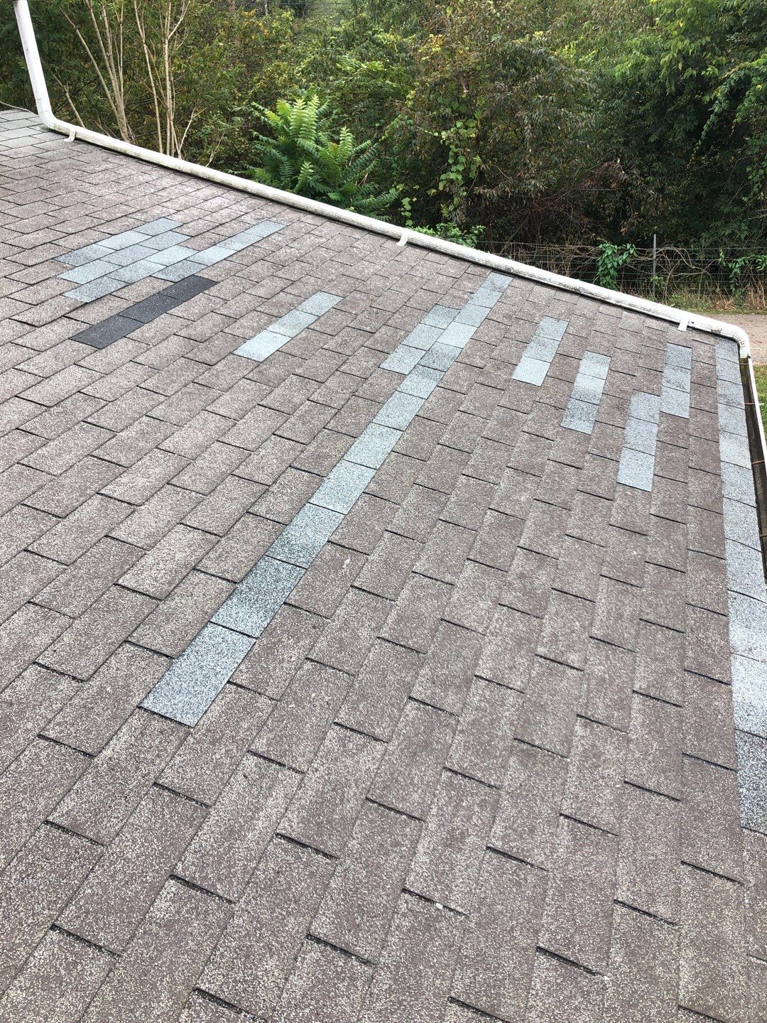 Jamie Tripp by Silver Leaf Contracting 
