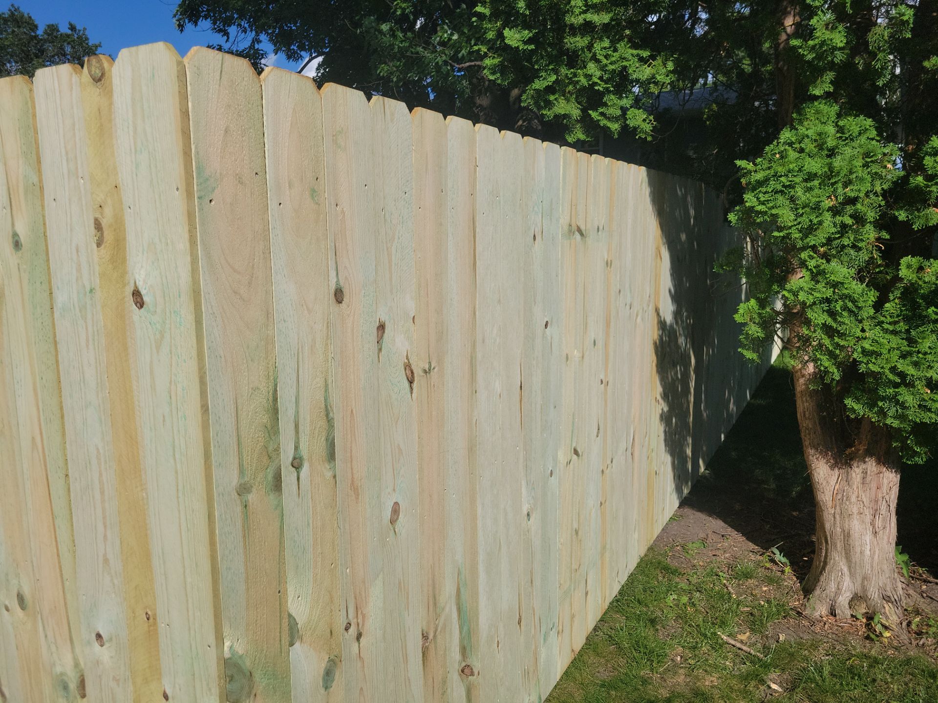 Pressure-Treated Pine Privacy Fence and Custom Gates in Waterloo by Perfect Picket Fence and Stain