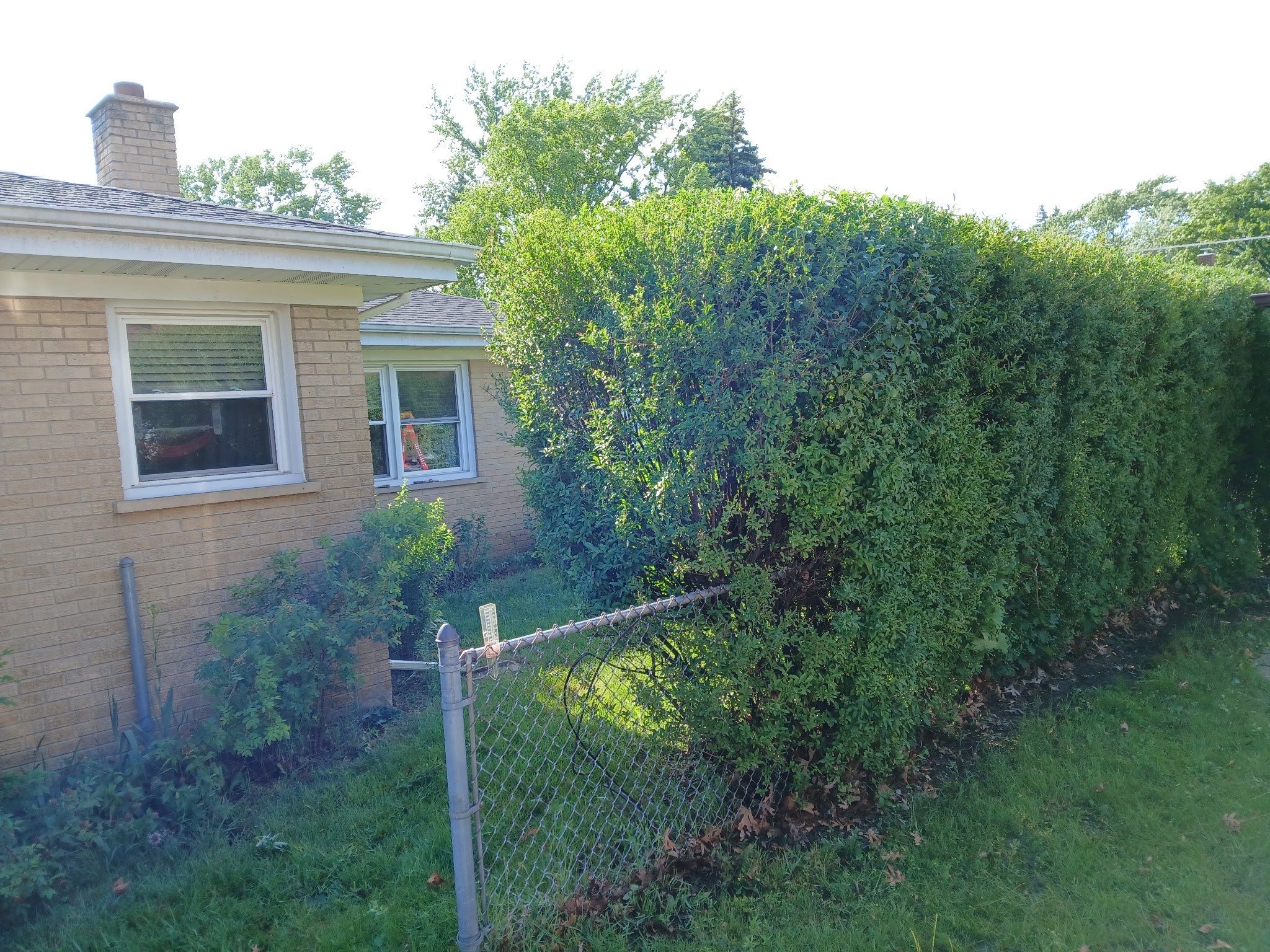 Pamela D. - Mount Prospect, IL by A&N