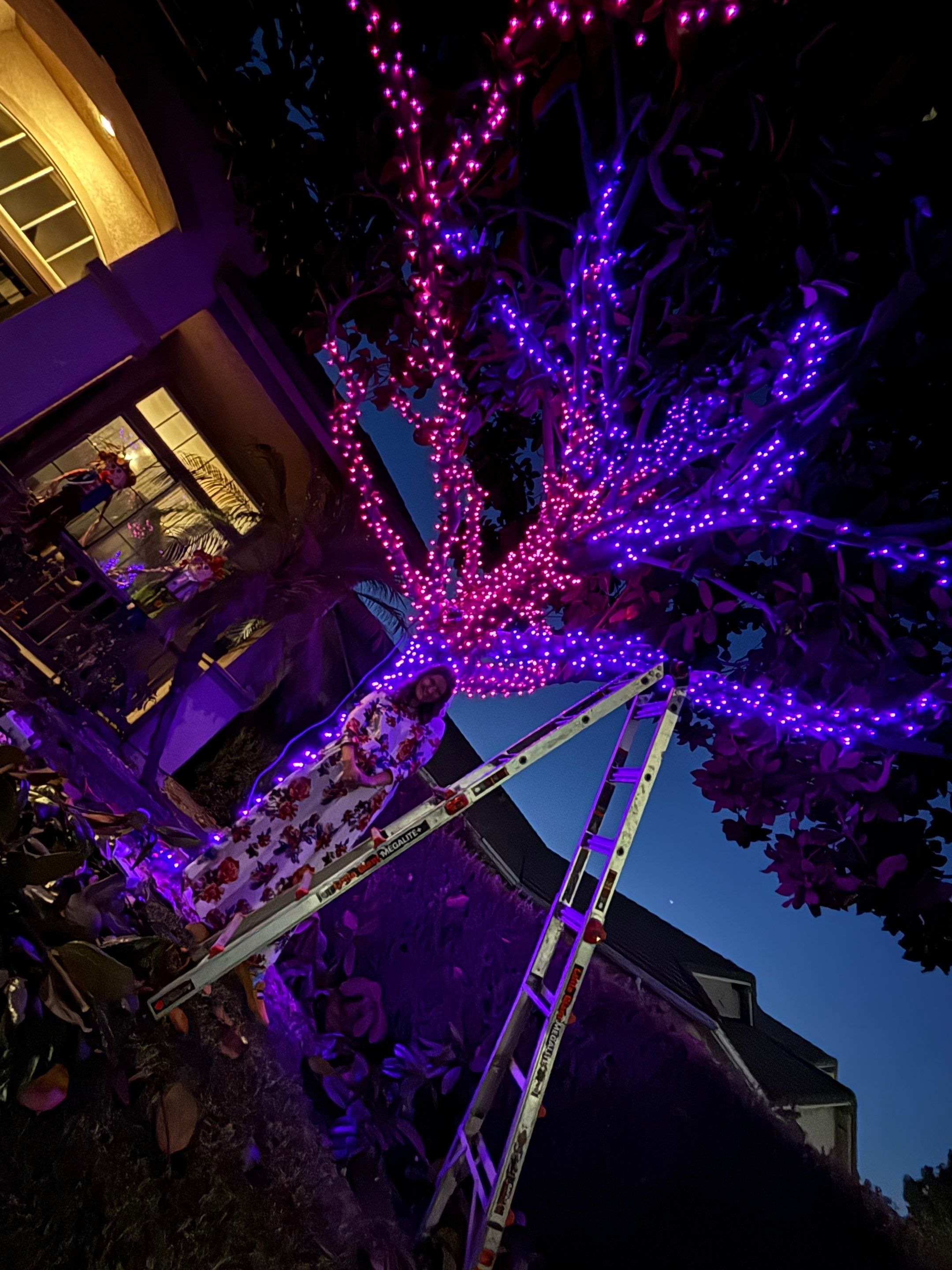 Halloween Tree Wrap  by Pirate Pete’s Power Washing