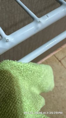 Wet Carpet Drying — Cape Coral, FL