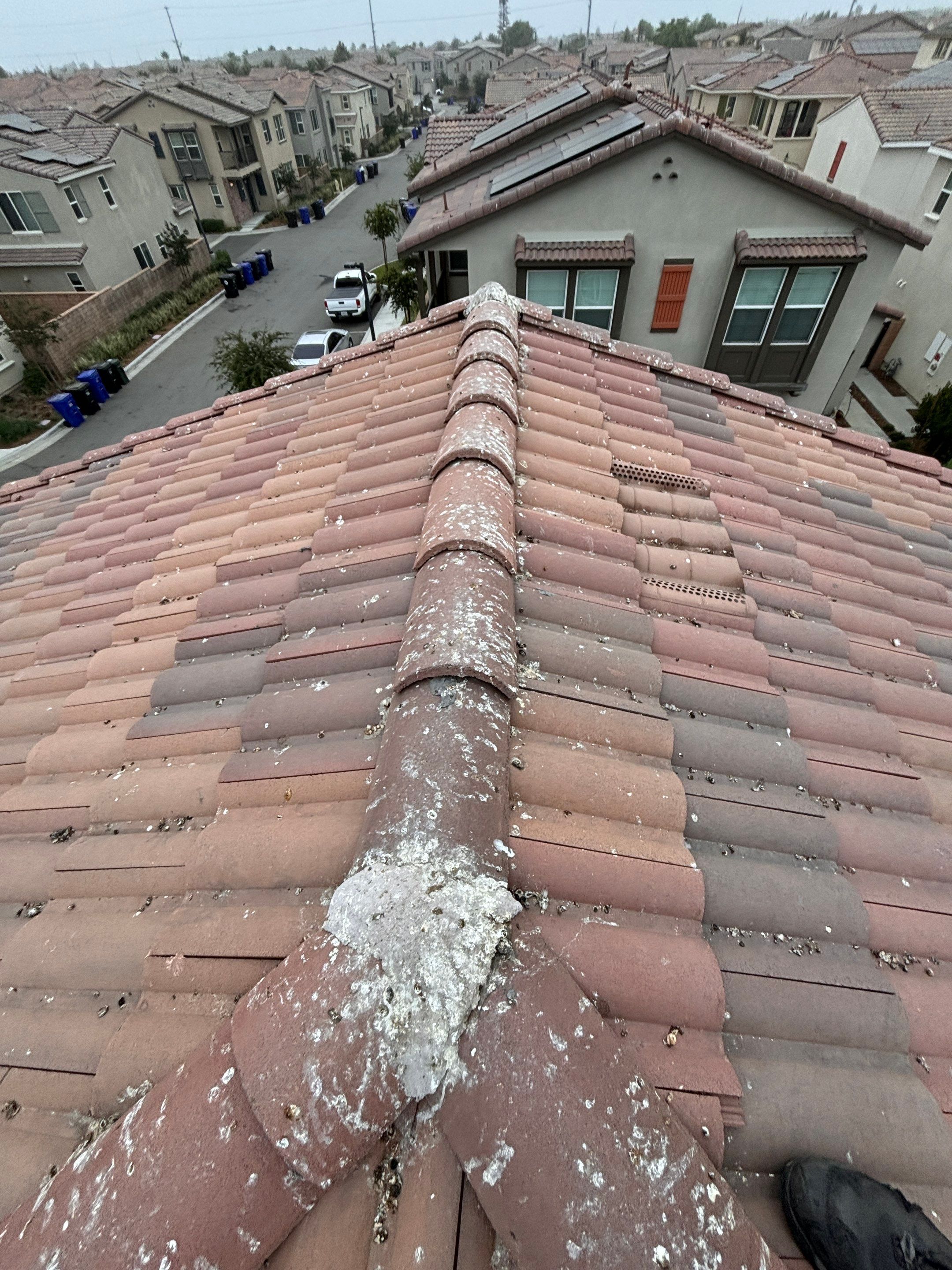 Solar Panel Bird Proofing in Fontana Ca by Palm Coast Solar Cleaning
