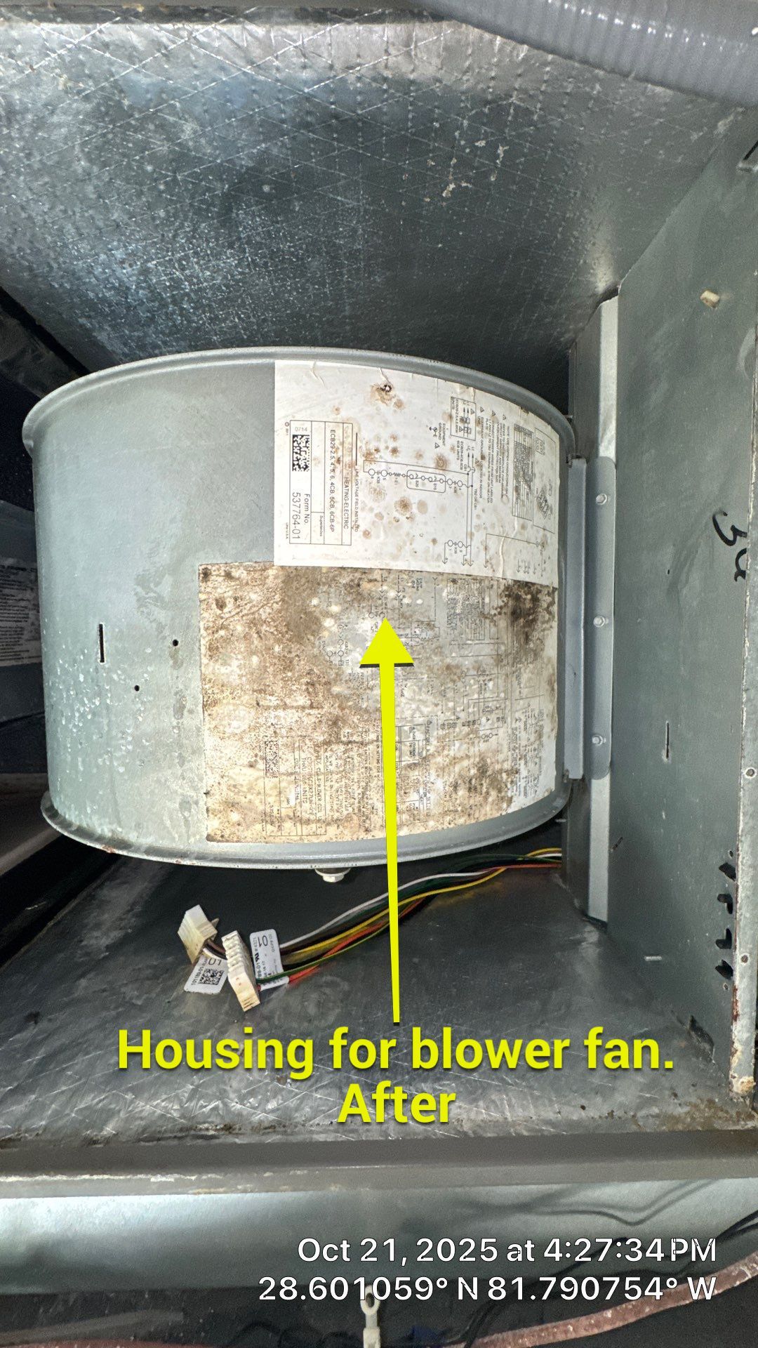 Air Duct and Dryer Vent Cleaning in Groveland by Hygienic Air, Inc