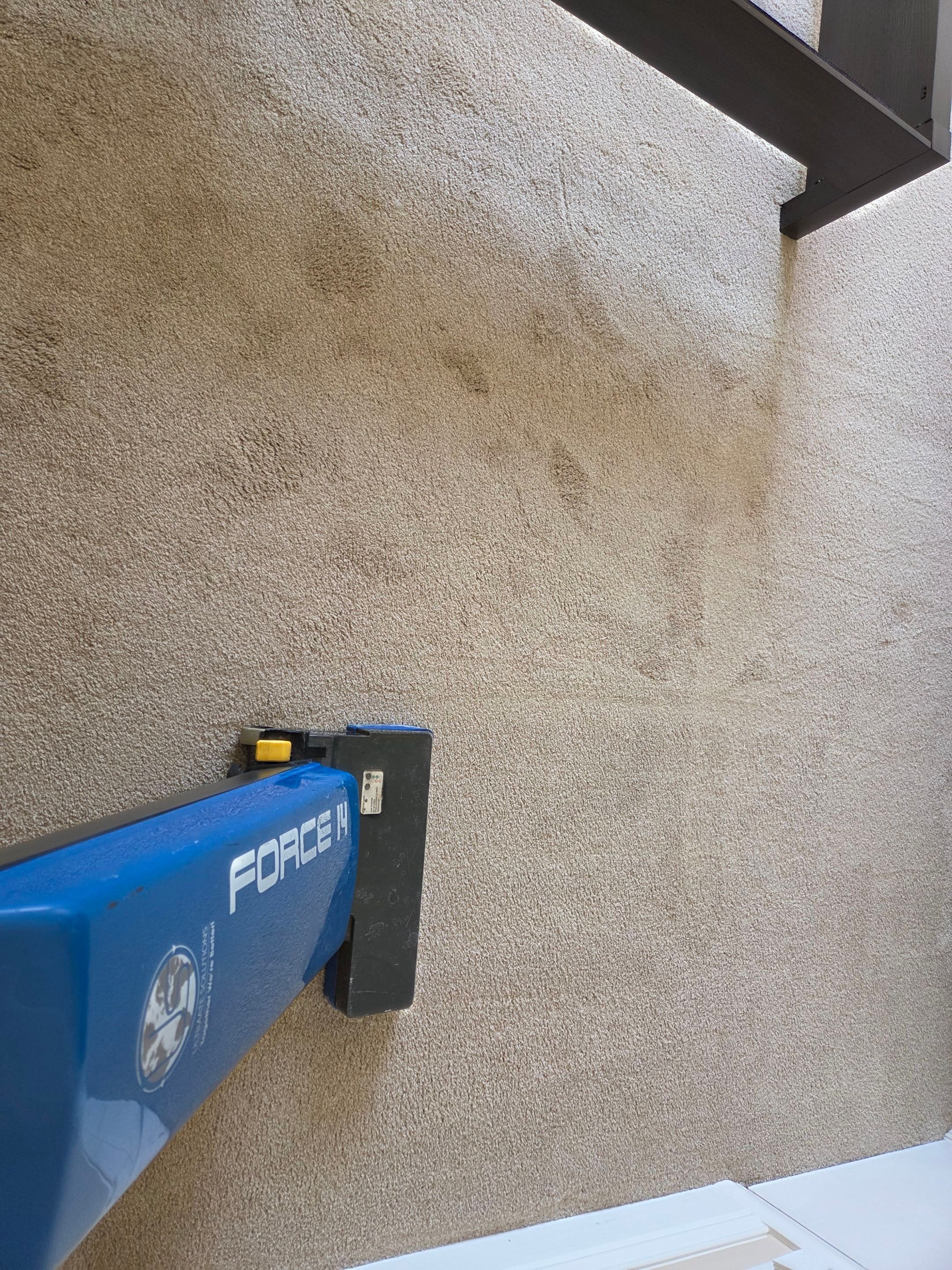 Carpet and Upholstery Cleaning in Sacramento by Ardent Carpet Restore LLC