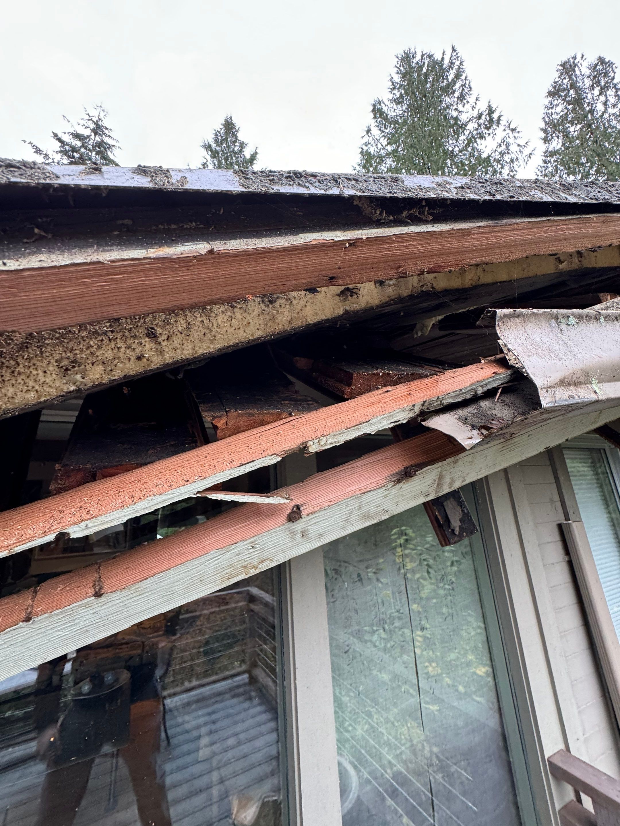 Project in Seattle by Peaks and Valleys Construction
