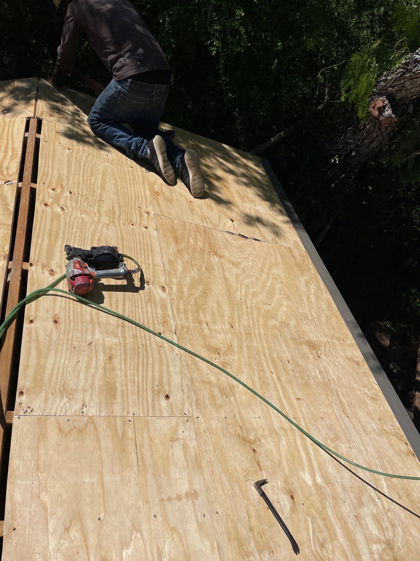 Alice Keeper by Bayfront Roofing and Construction
