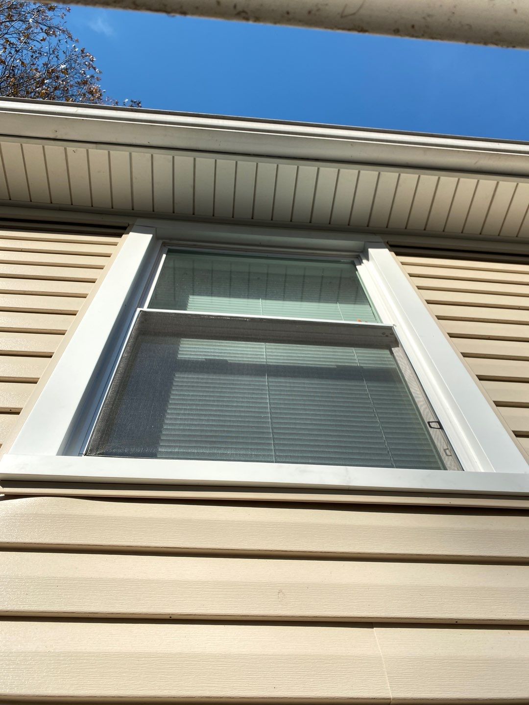 Josh Davis by Silver Leaf Contracting 