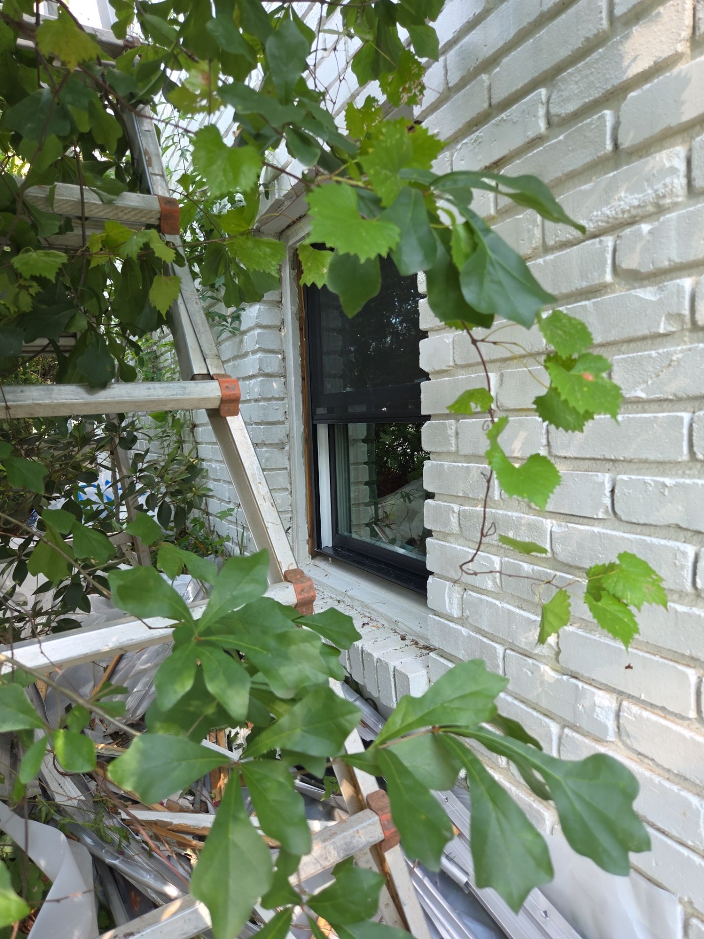Taylor Project in Hoover by The Window Source