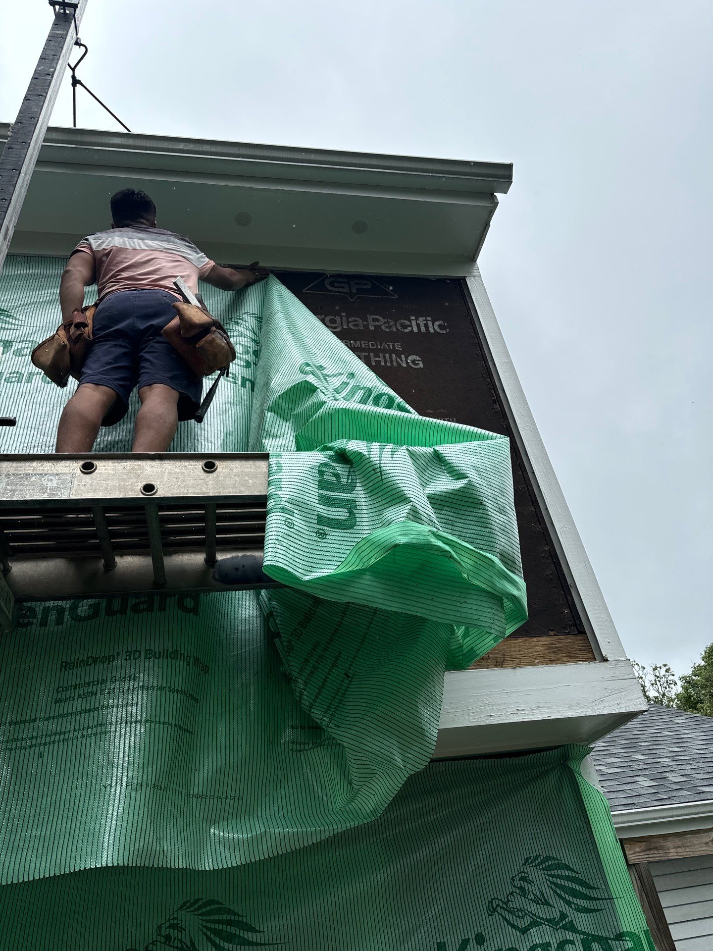 New Prodigy siding with One-piece insulated siding system & Exterior painting   by Alpha Design Services