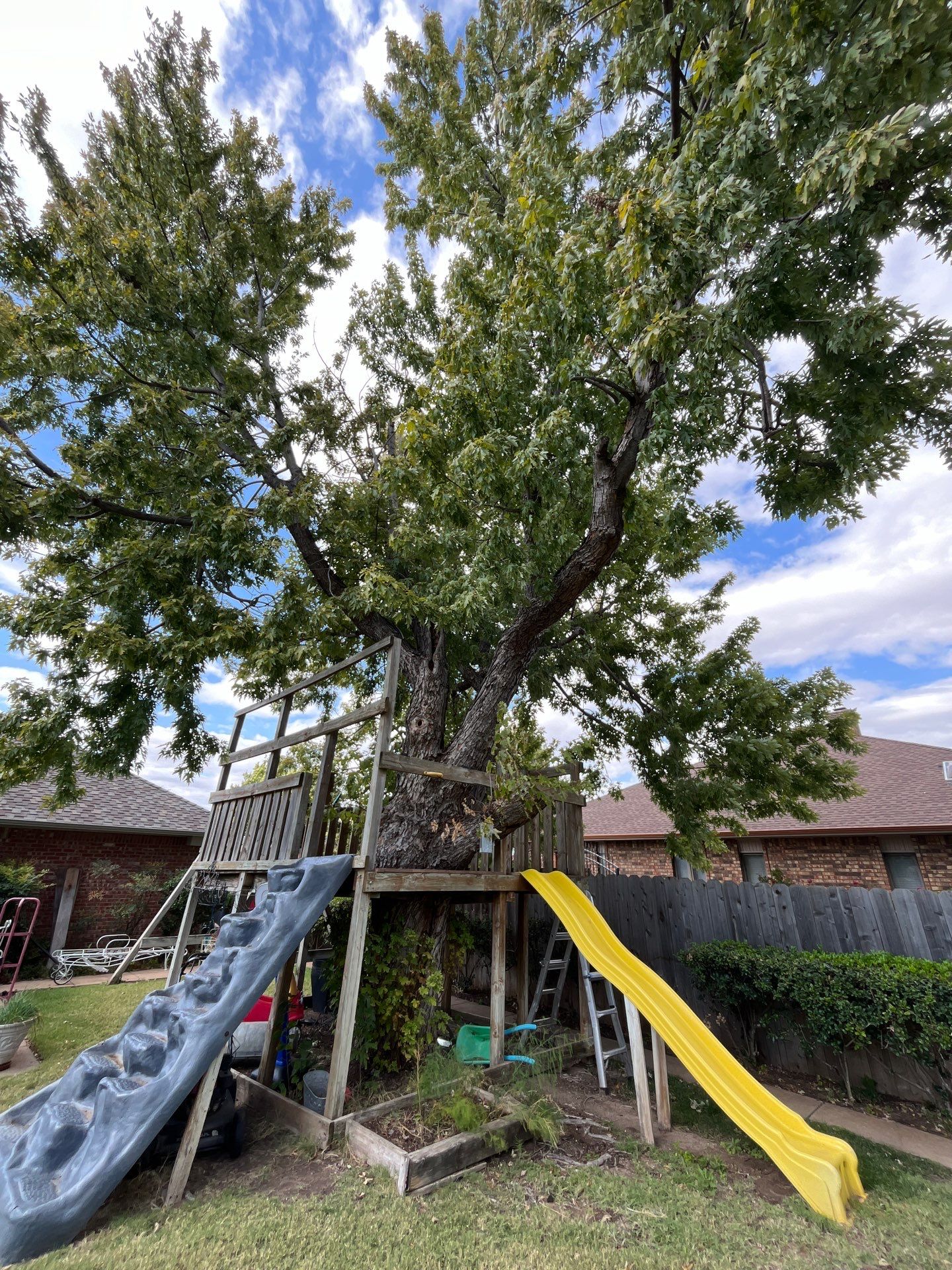 Tree Removal using Chainsaws by Clays Services Inc